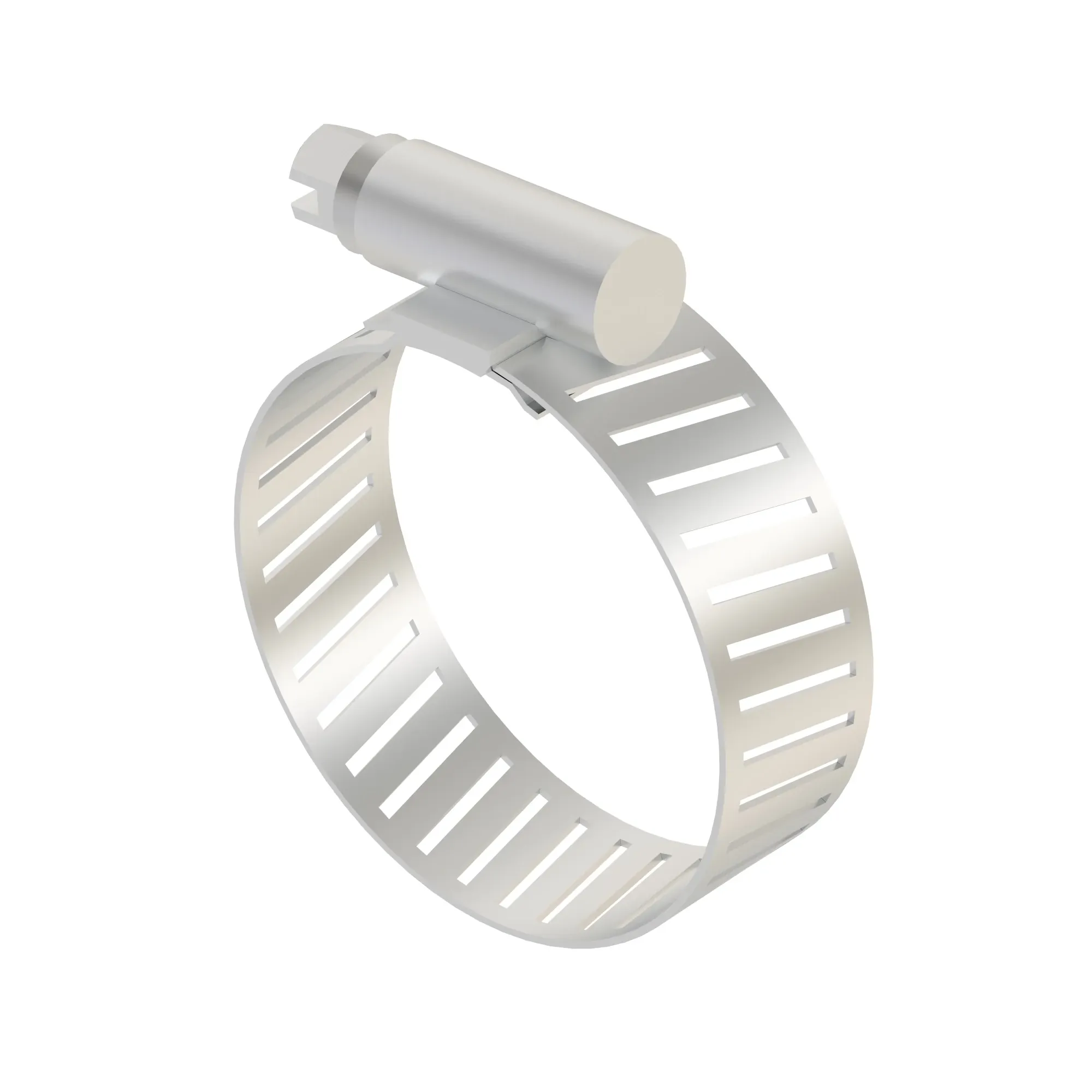 Hose Clamp