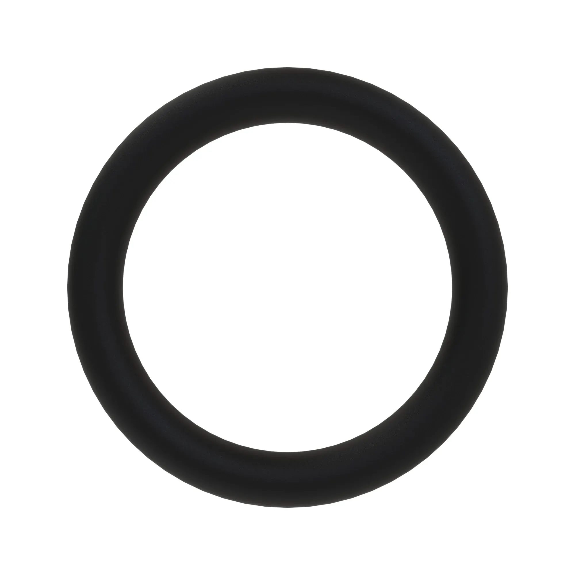 O-RING AUSCO PARK BRAKE