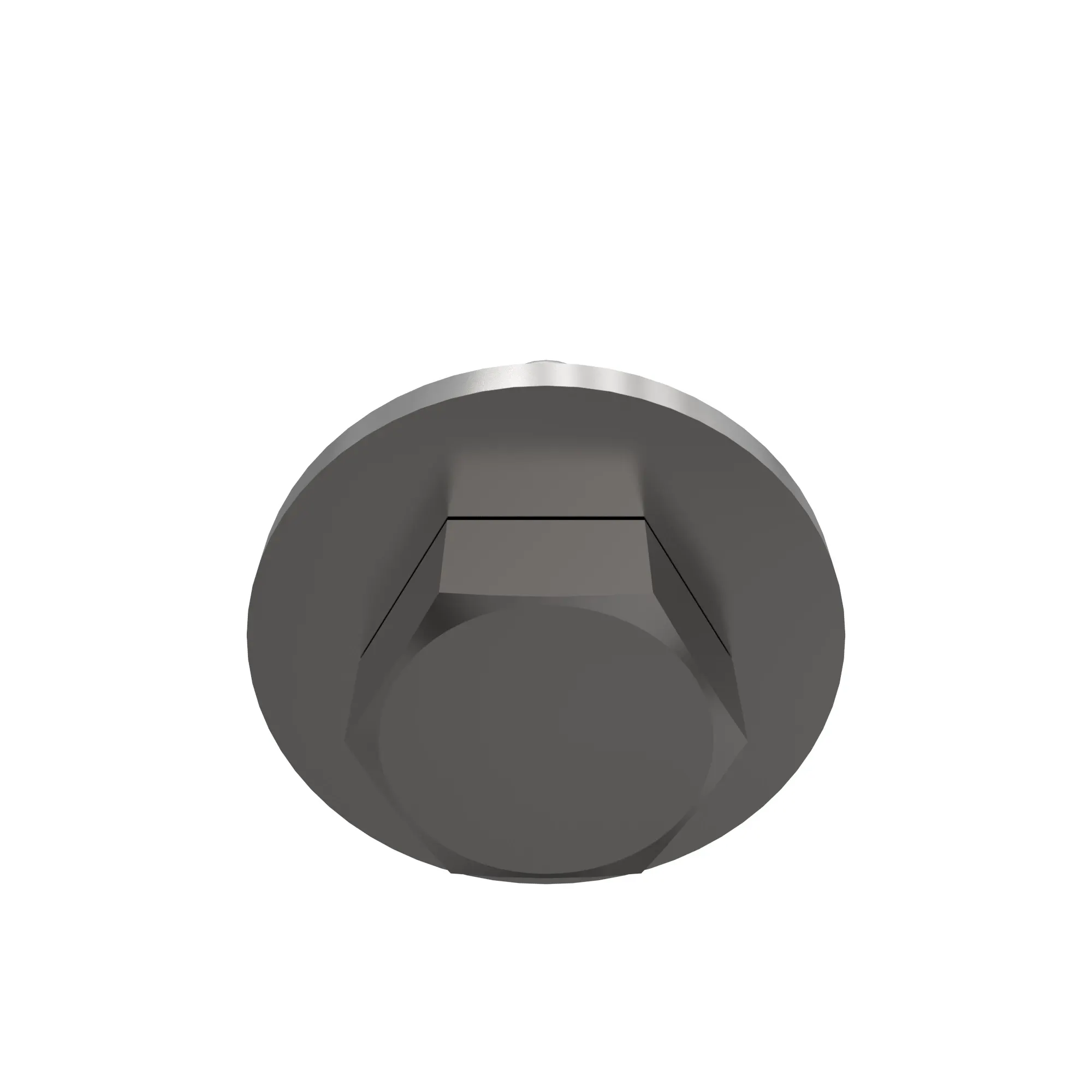 SCREW WITH WASHER