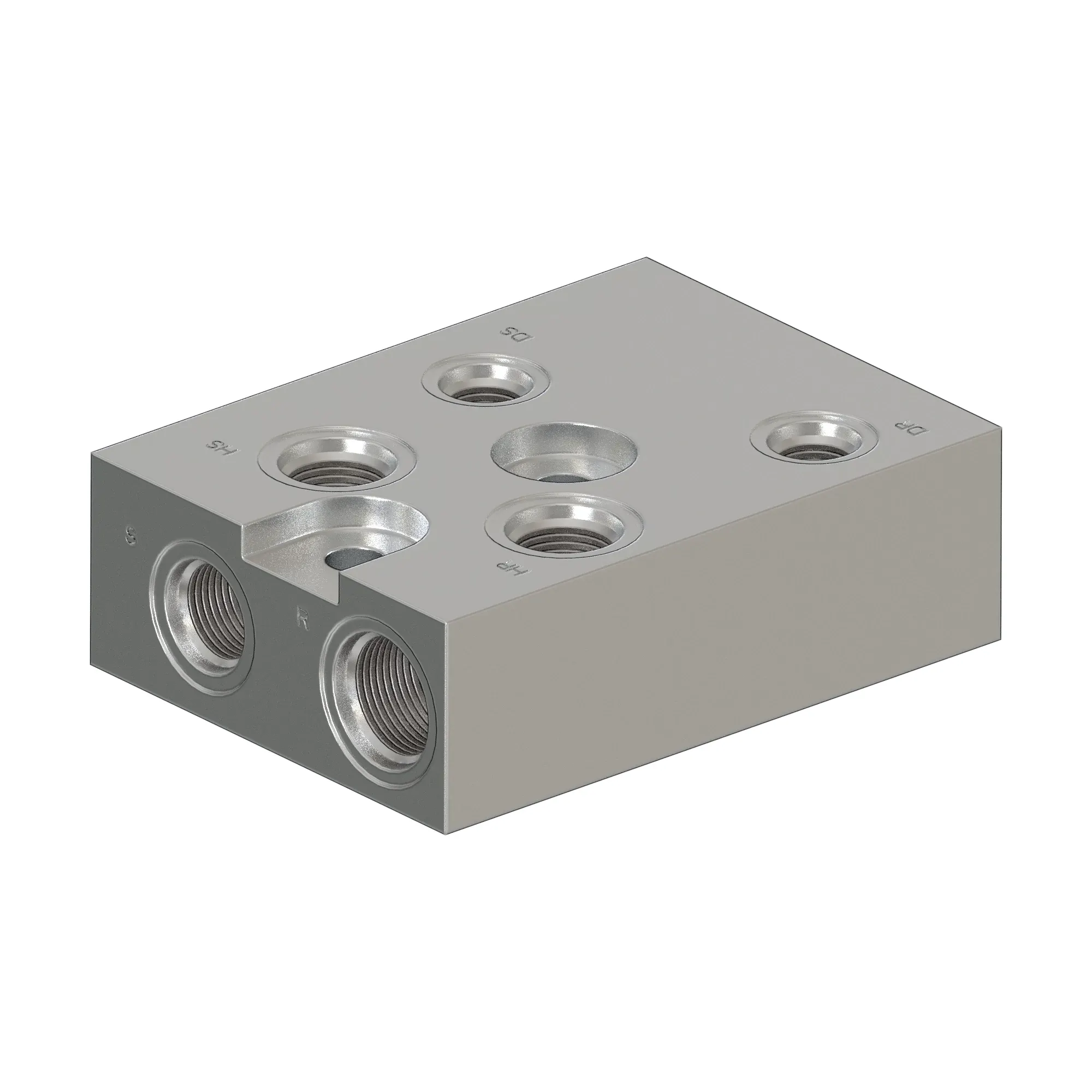 Manifold