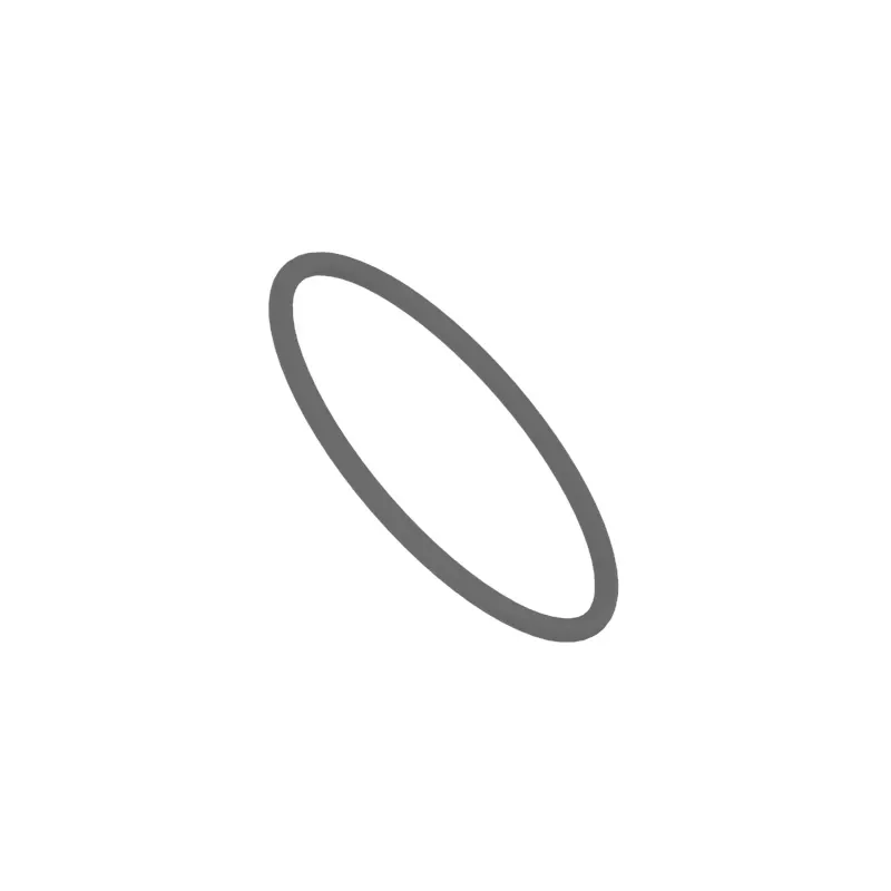 John Deere Inside Piston O-Ring - T167845