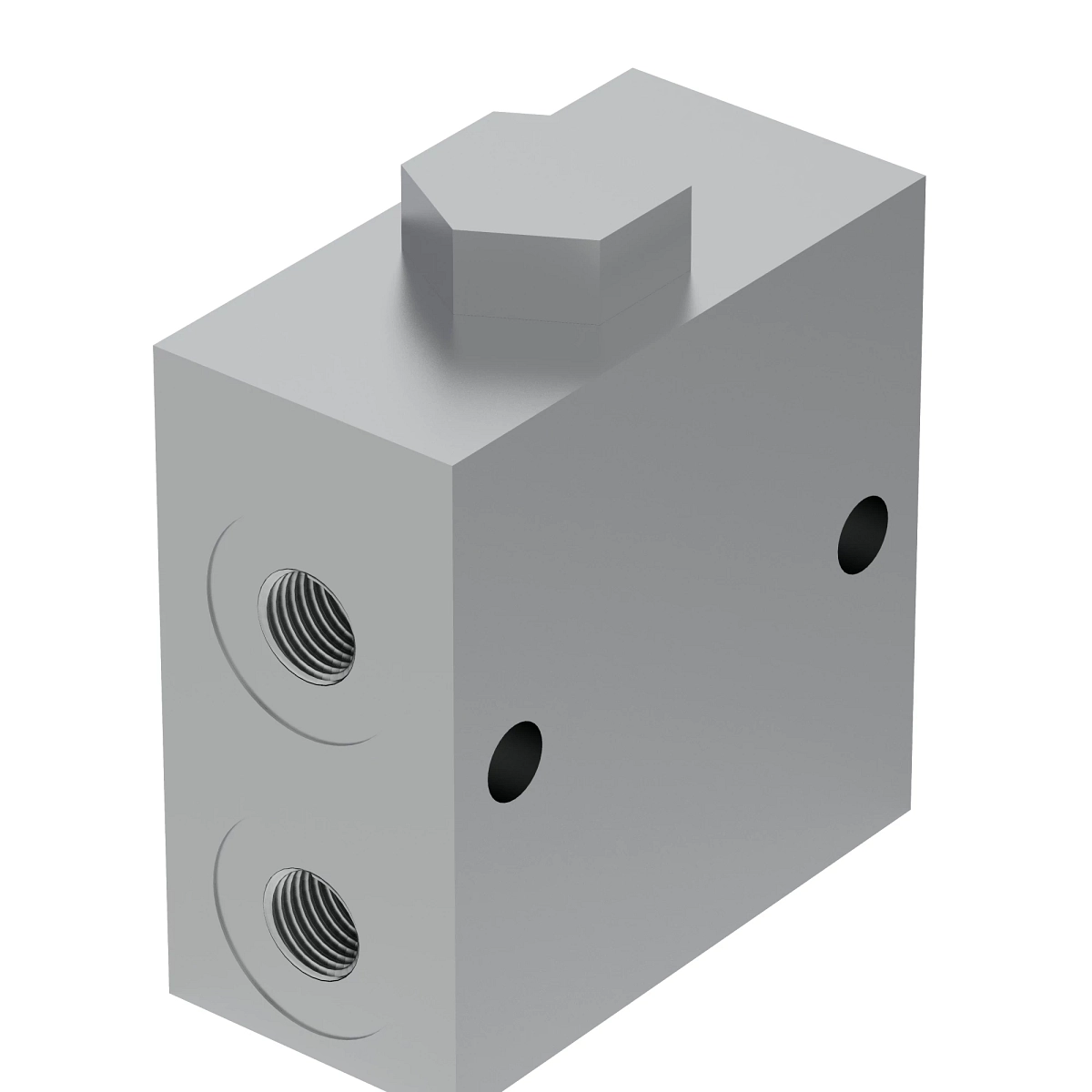 Check Valve, Root Rake / Mp