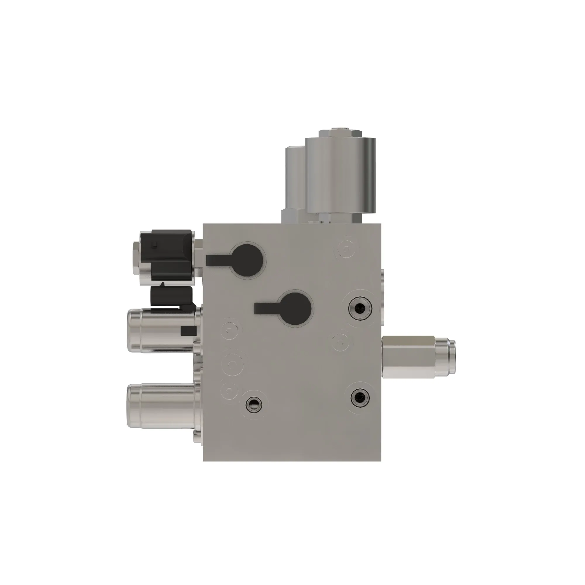 Manifold