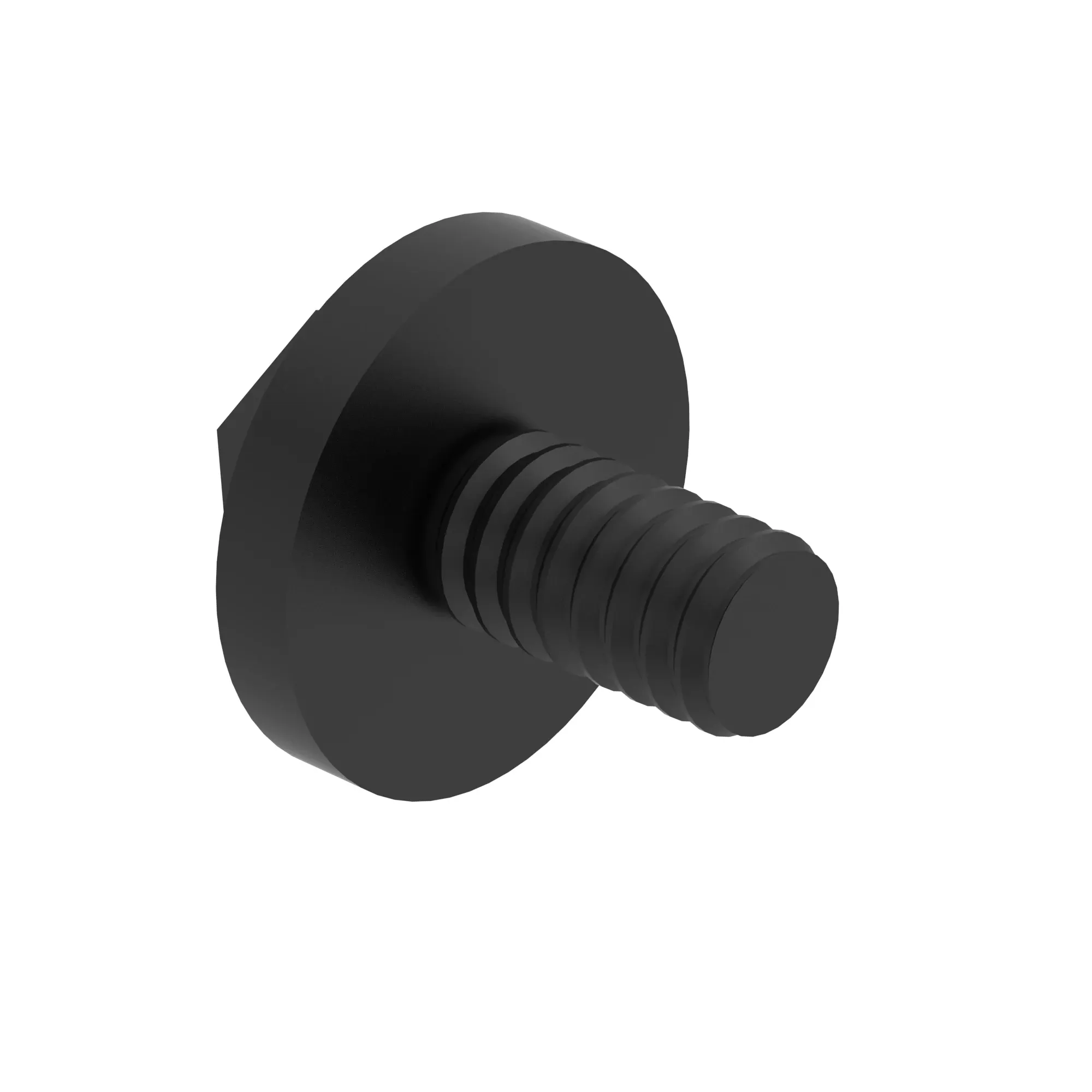 Screw