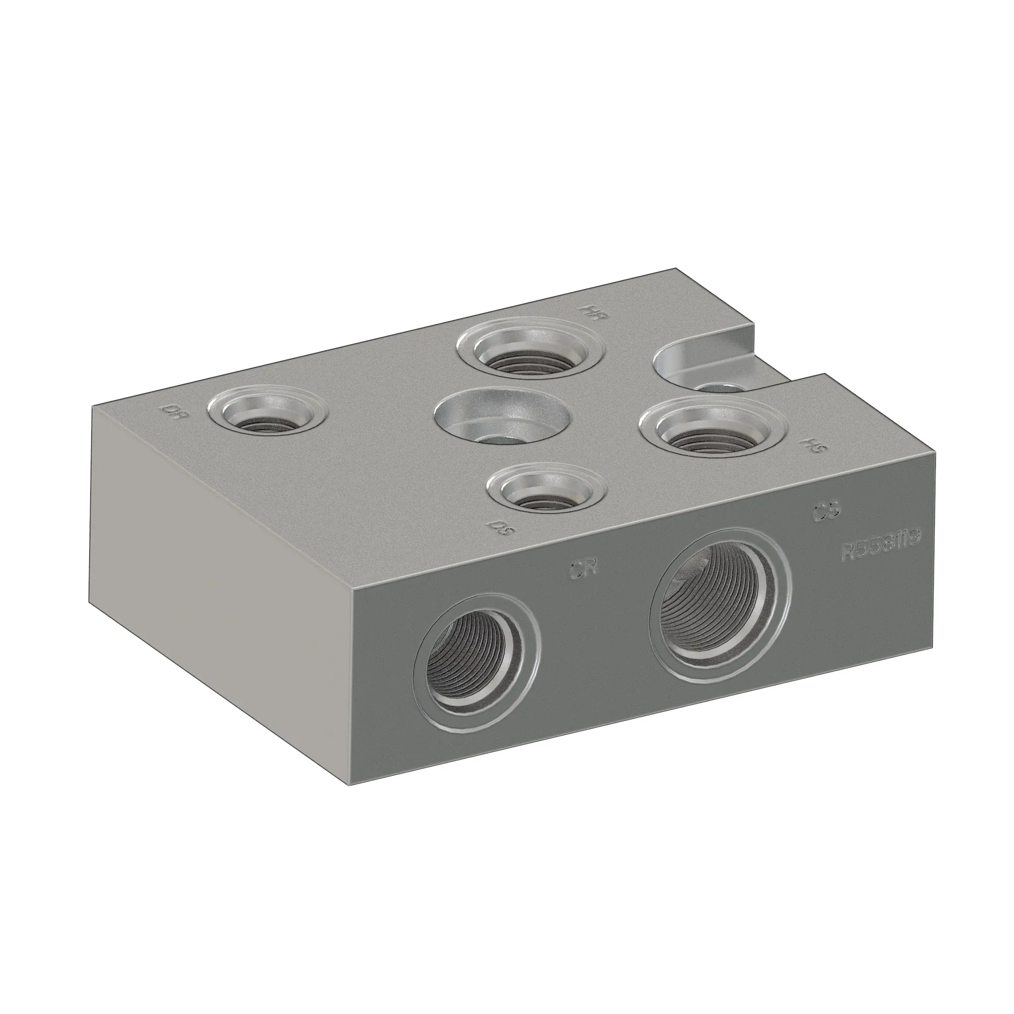 Manifold