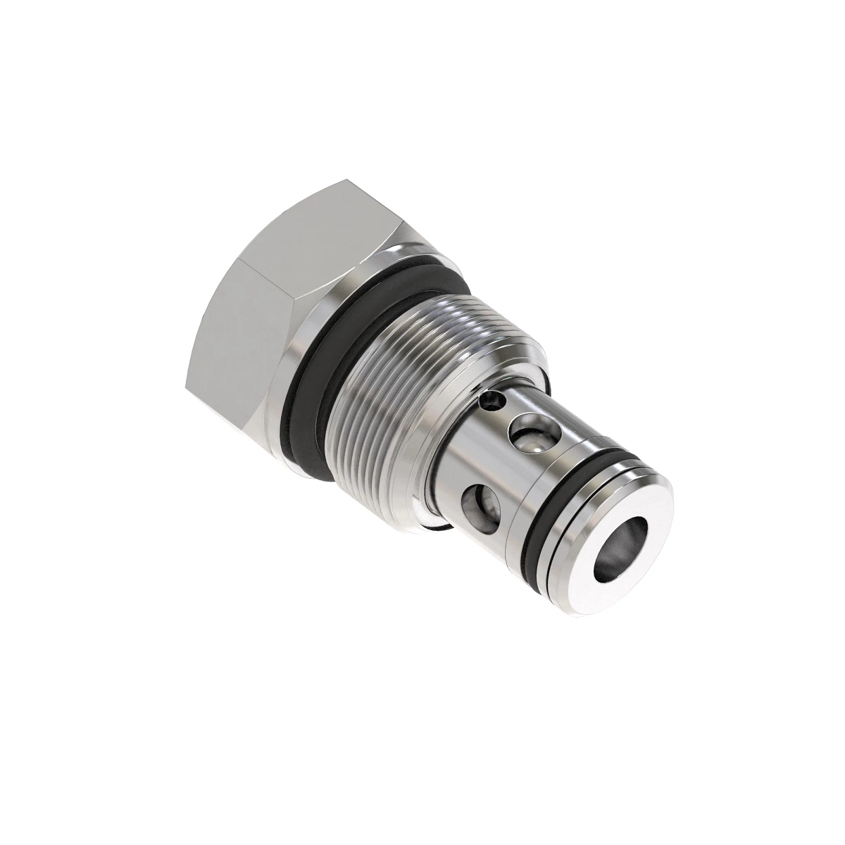 Check Valve Assy R.O.
