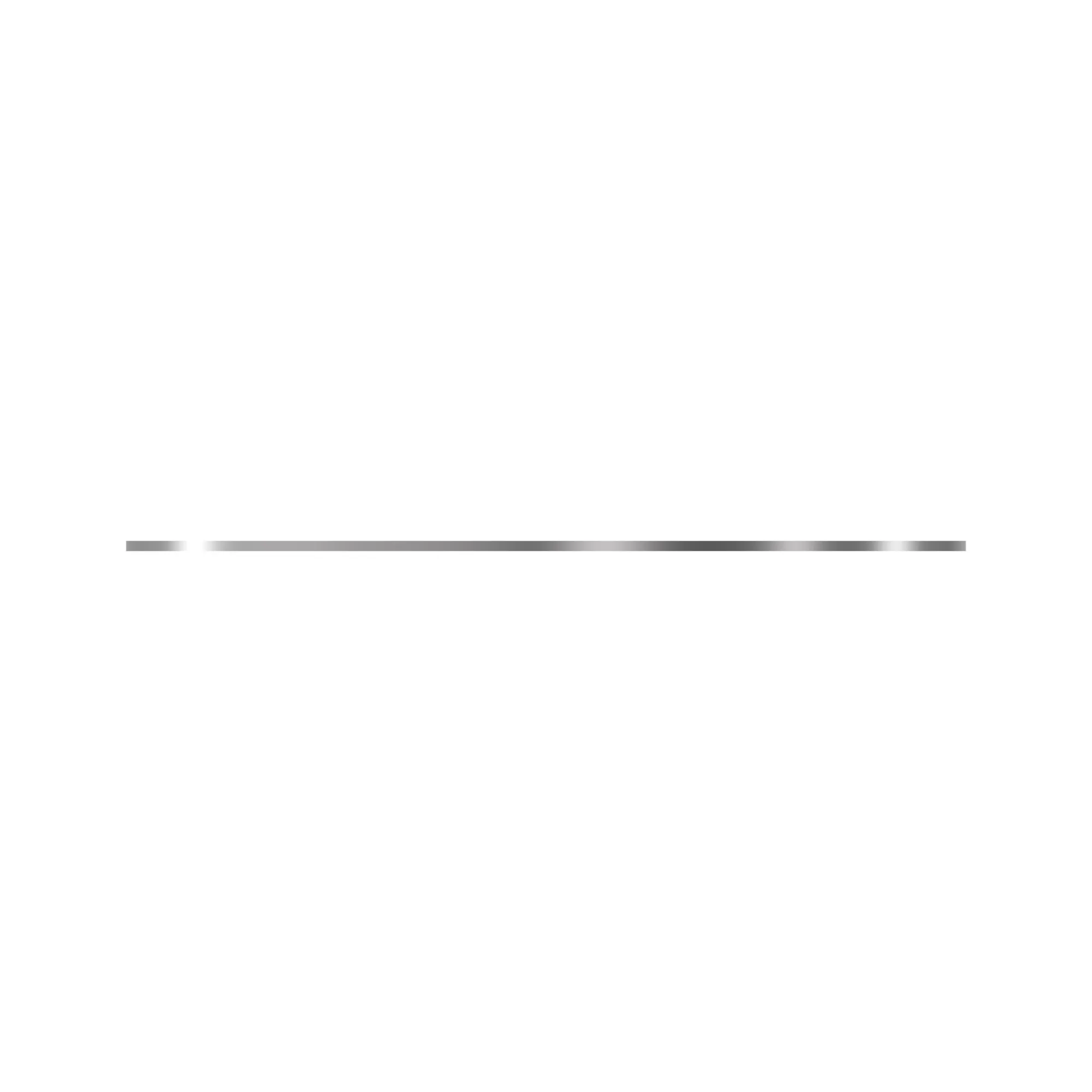 Disk With Inner Spline