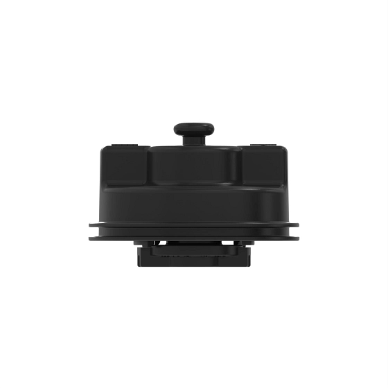 Filler Cap