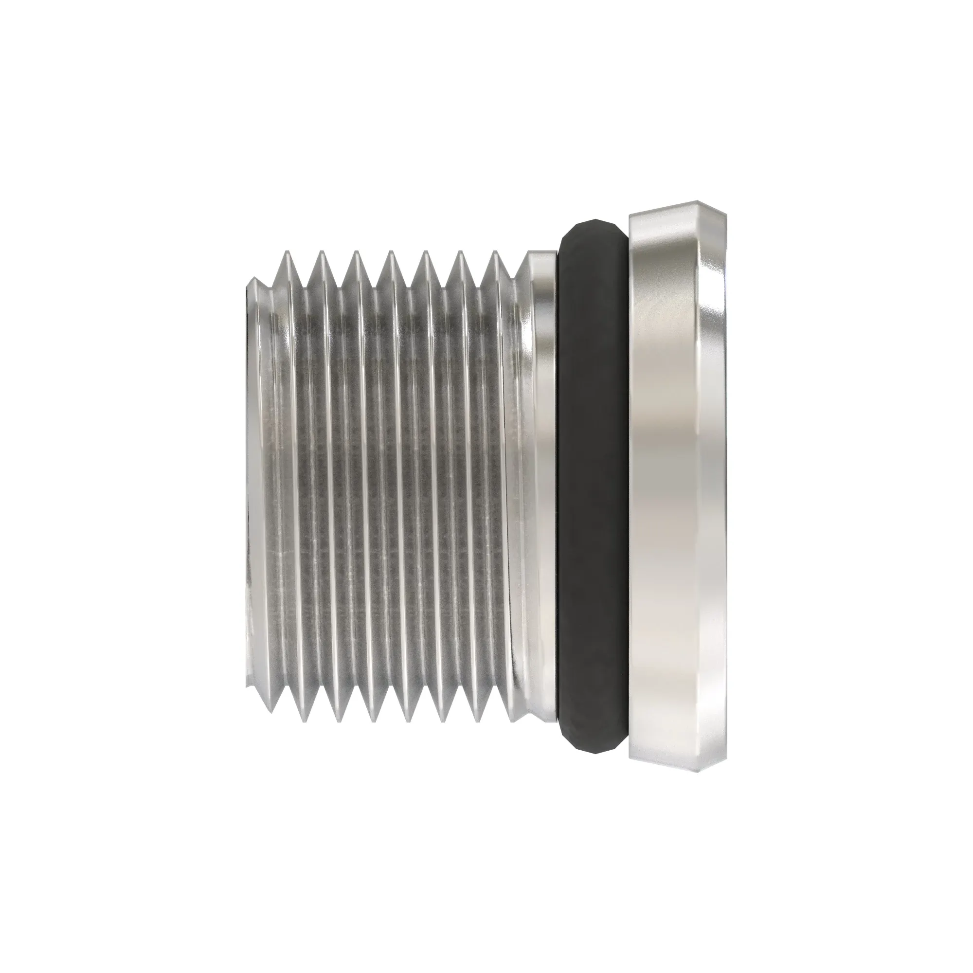 Fitting Plug