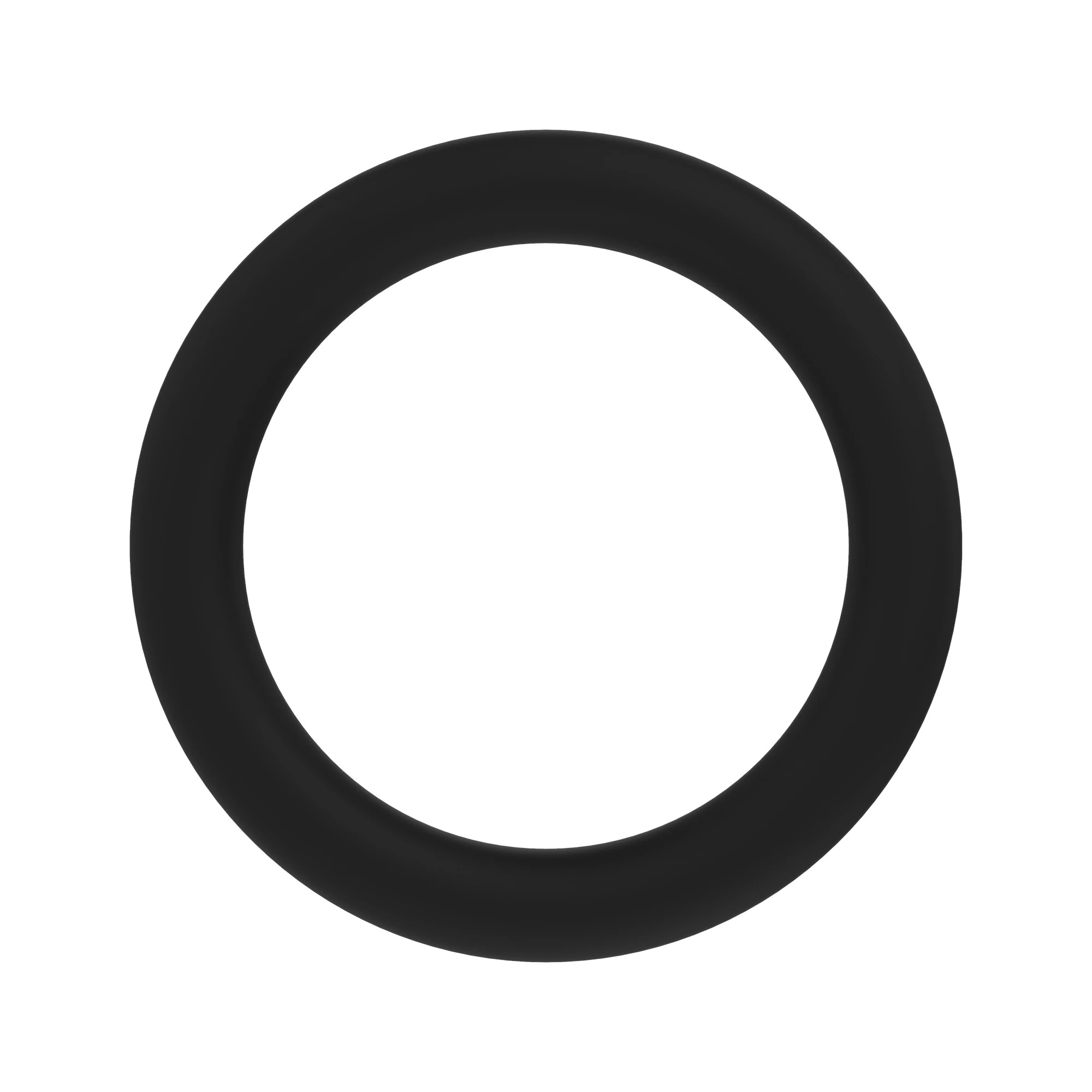 O-Ring