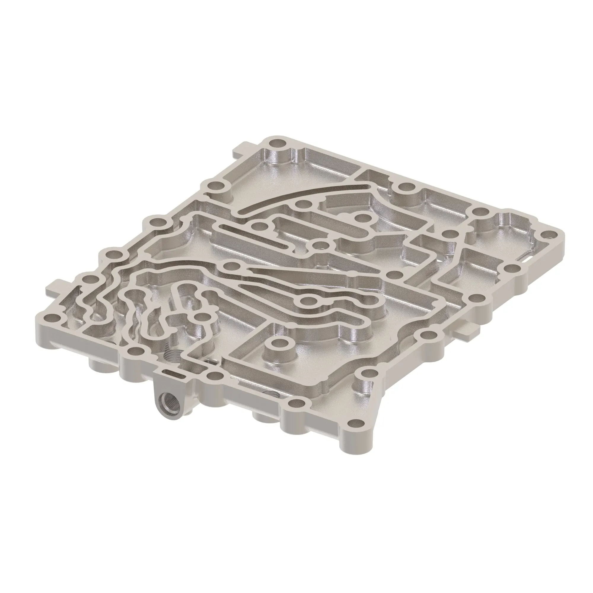Manifold