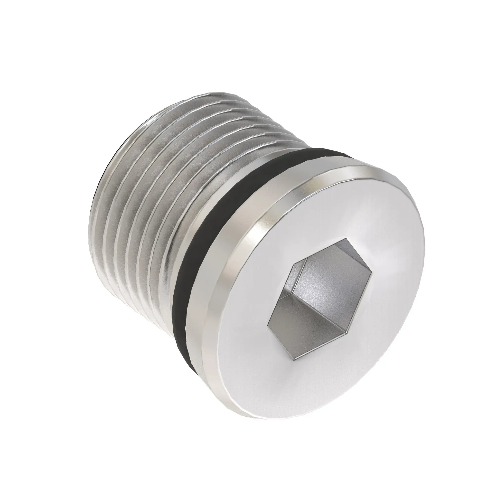 Fitting Plug
