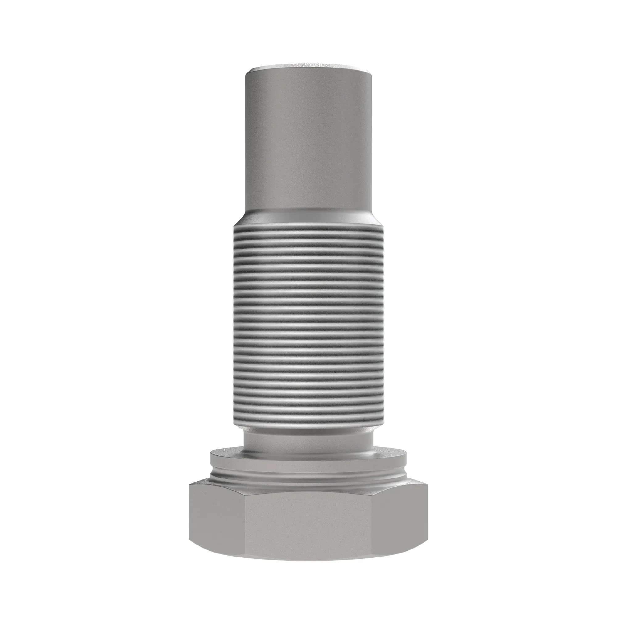 Fitting Plug