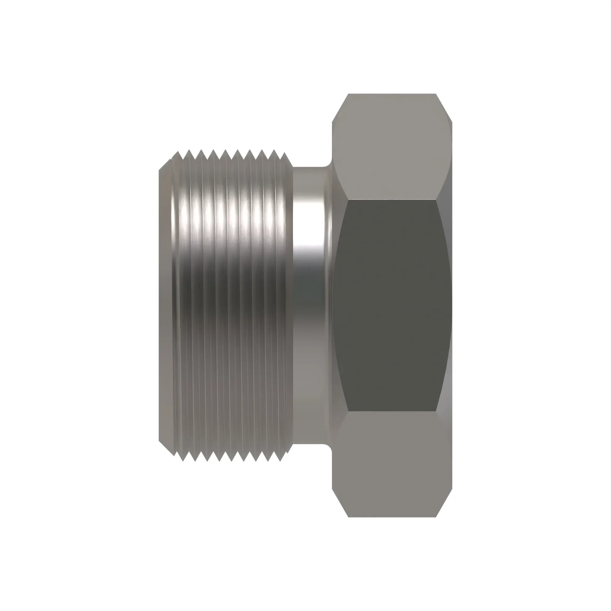 Fitting Plug