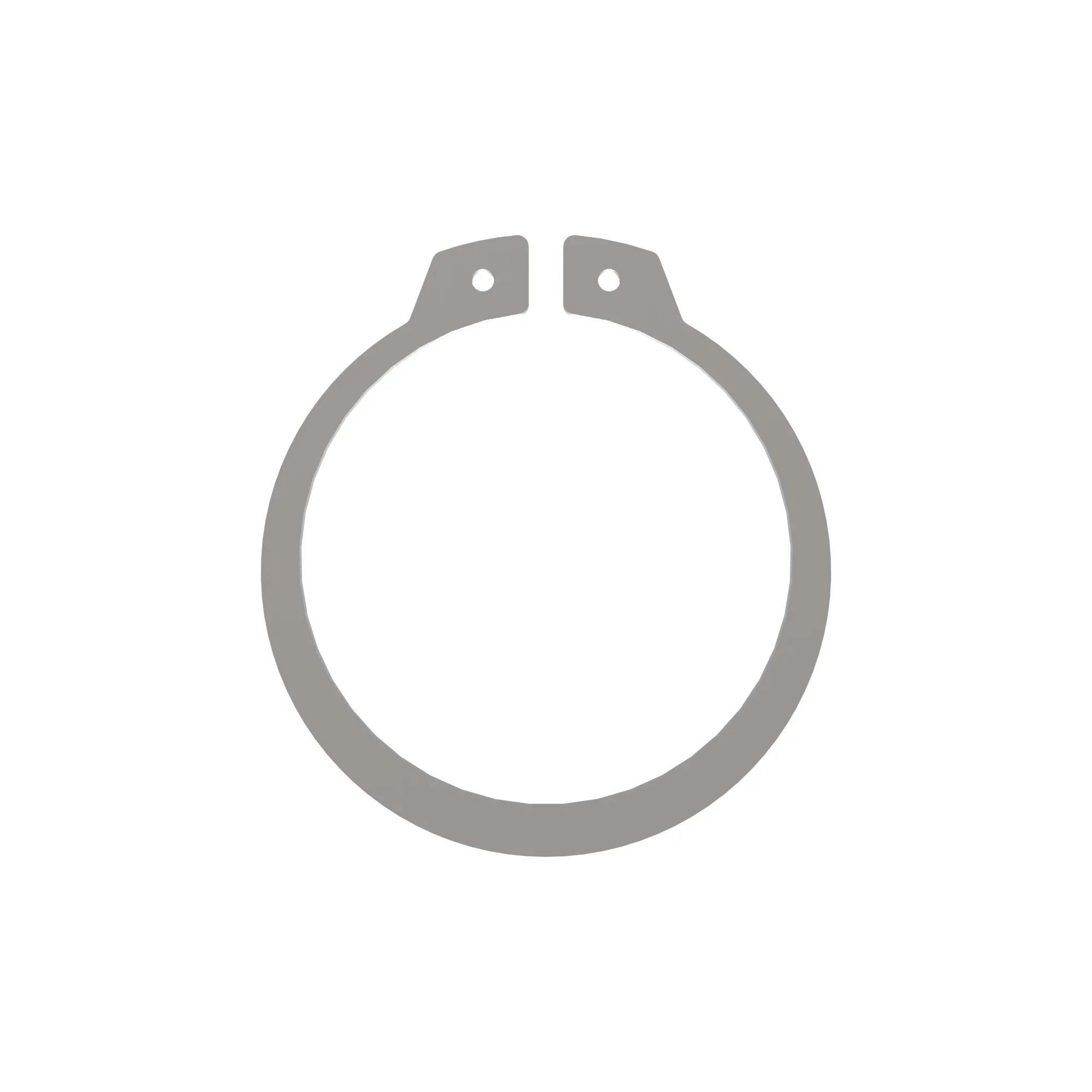 Snap Ring