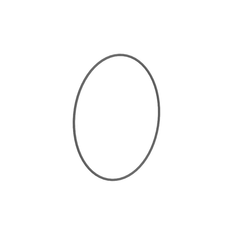 O-Ring