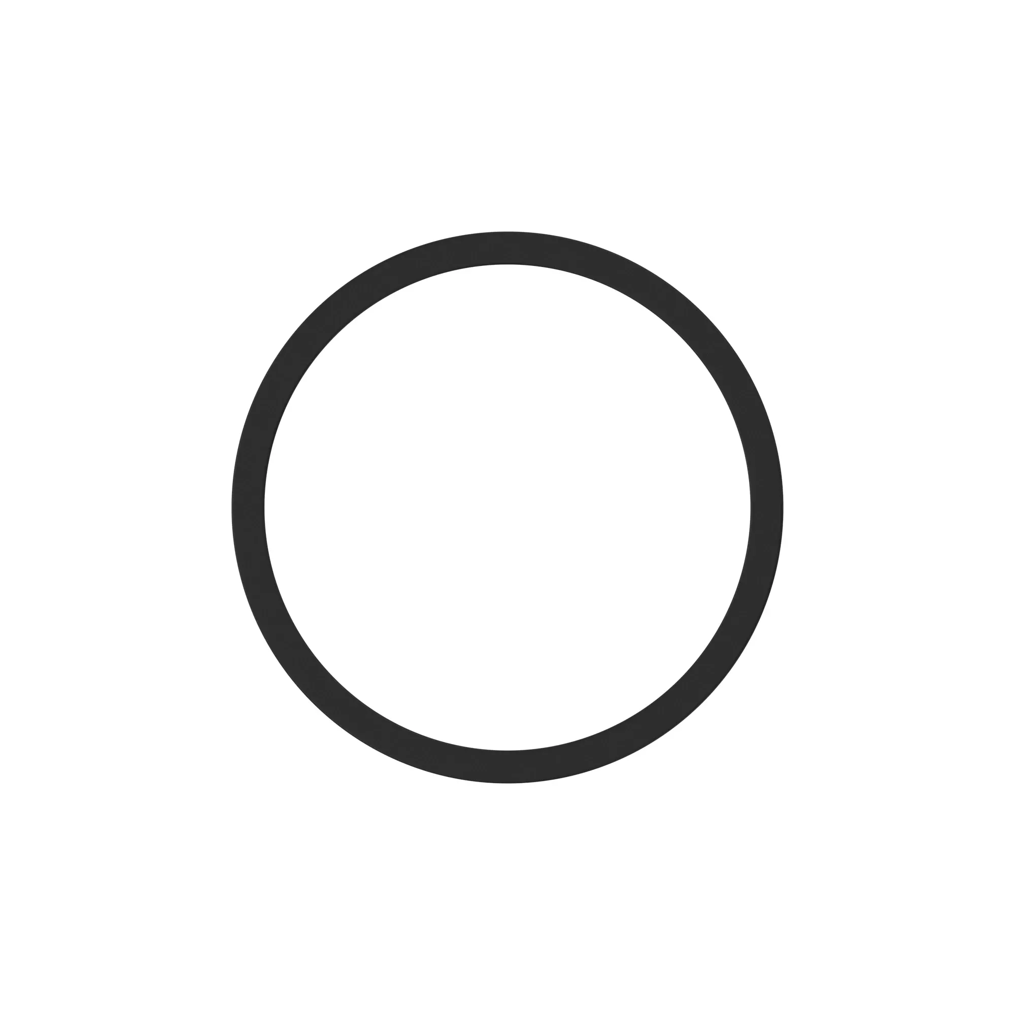 thrustwasher