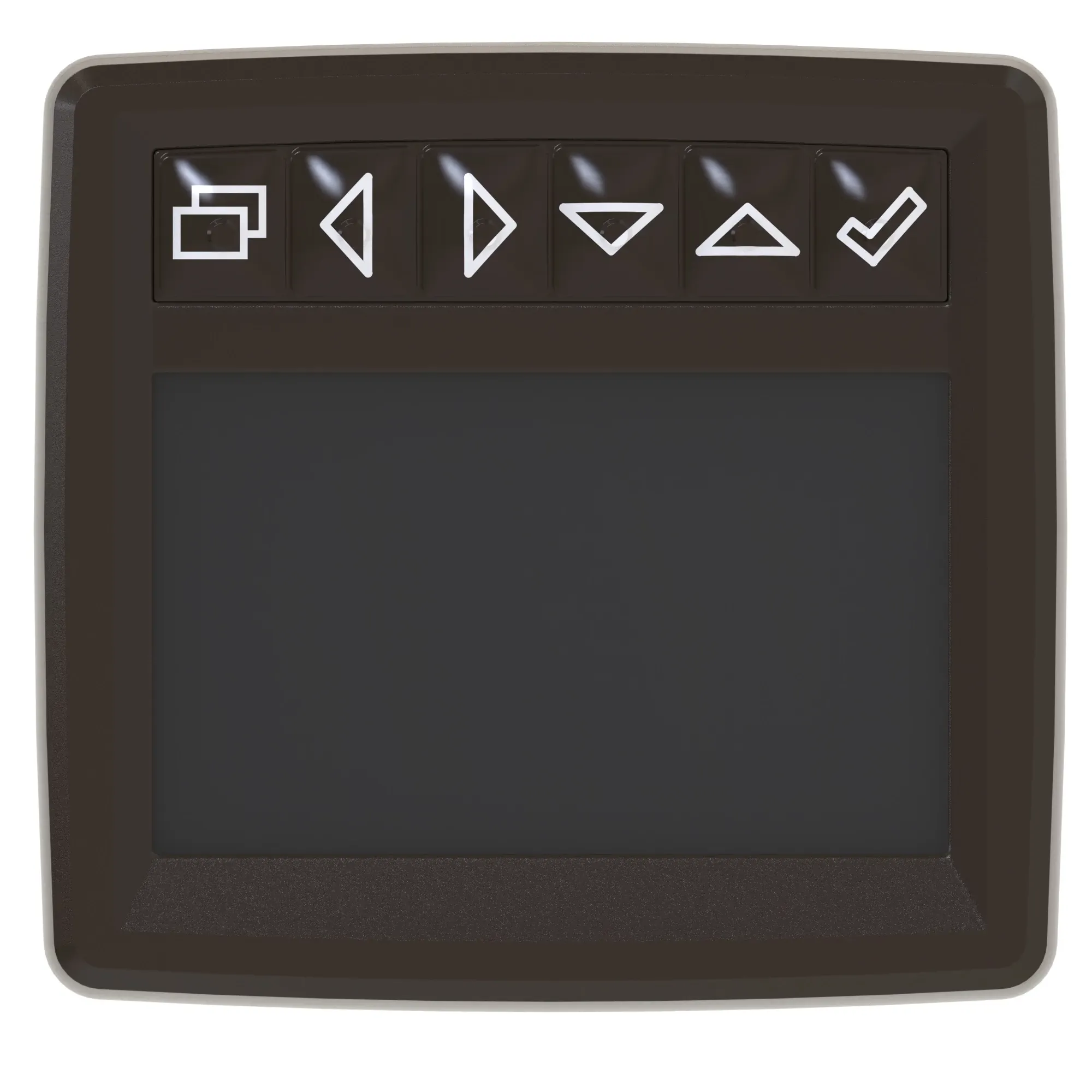 Display Module