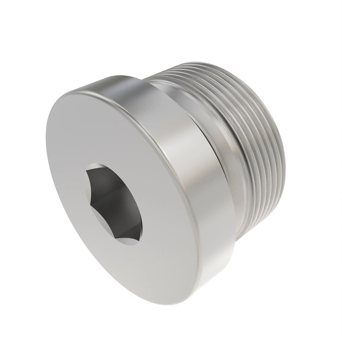 Fitting Plug, SAE -06 Internal Hex
