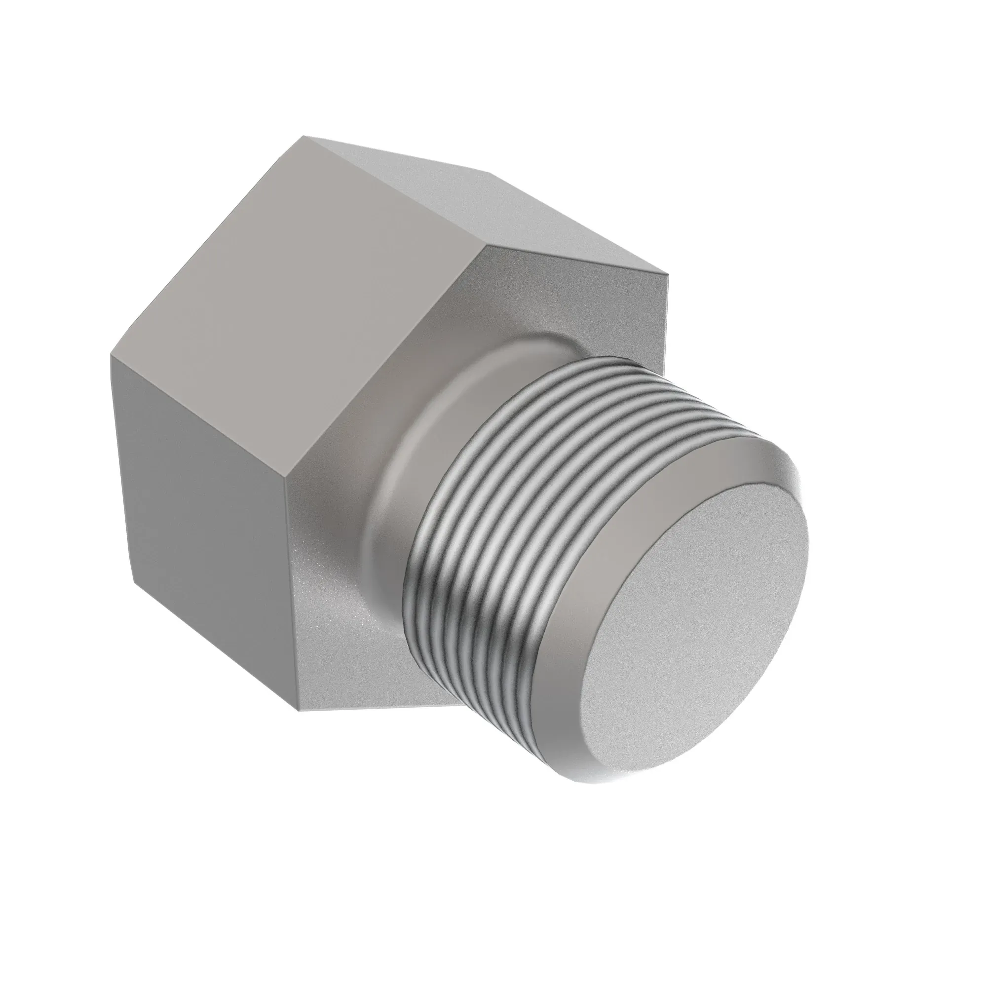 Fitting Plug