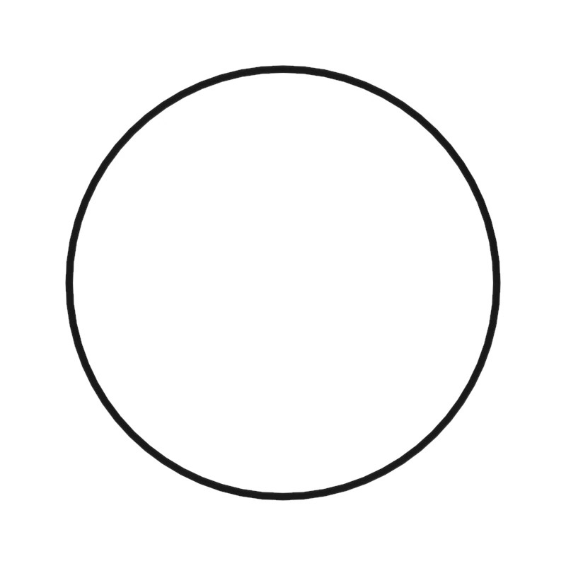 O-RING