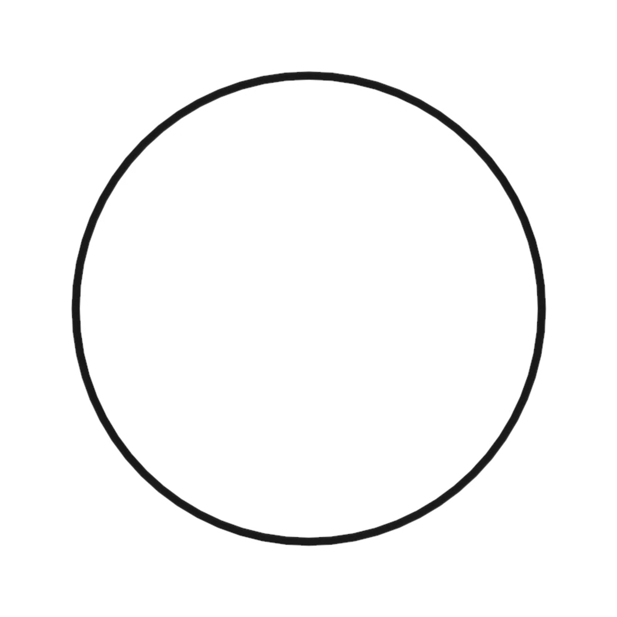 O-Ring