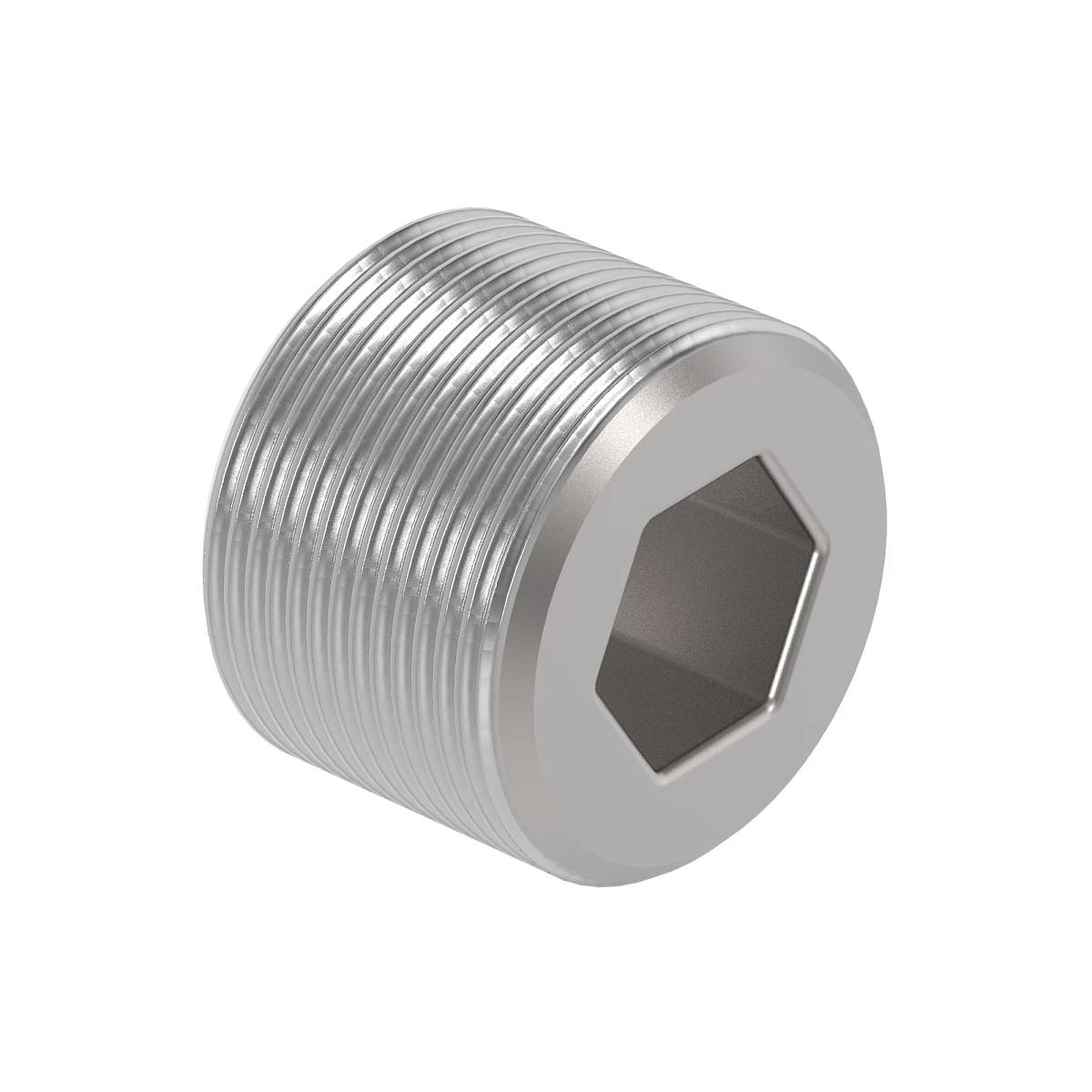 Pipe Plug, Magnetic