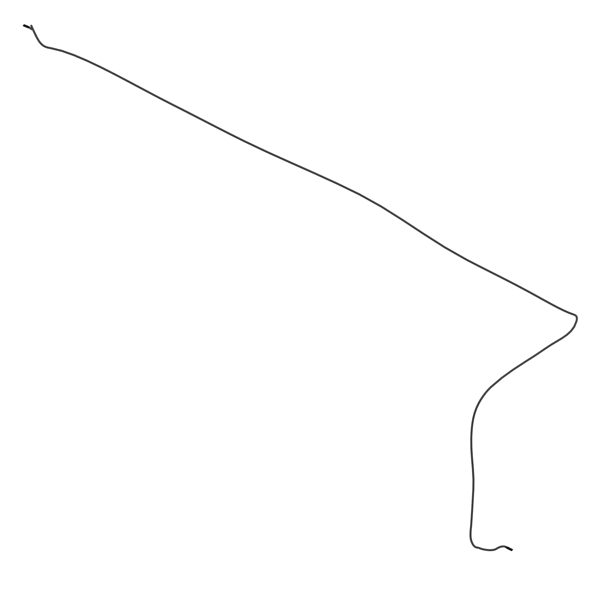 STRAW WORNING   HARNESS