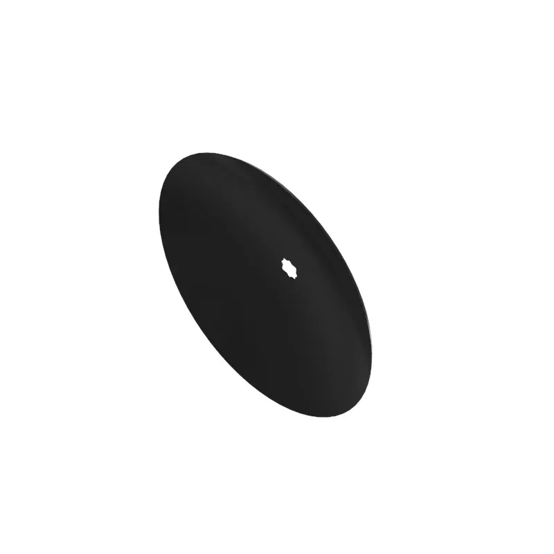 Disk