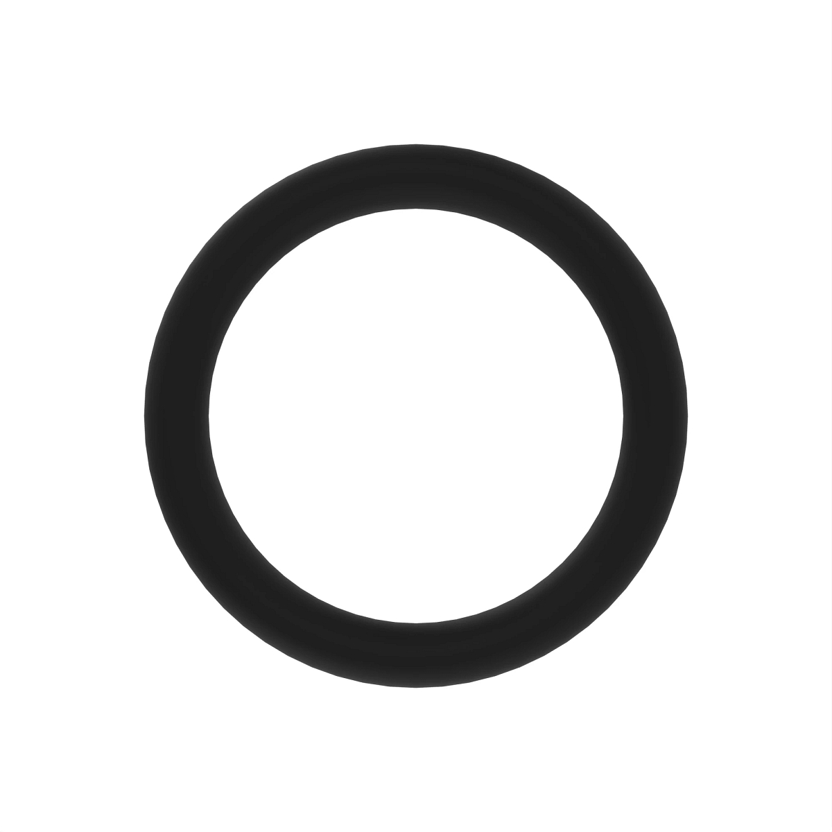 O-RING
