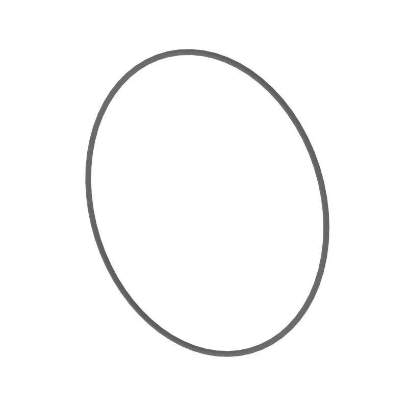 O-Ring