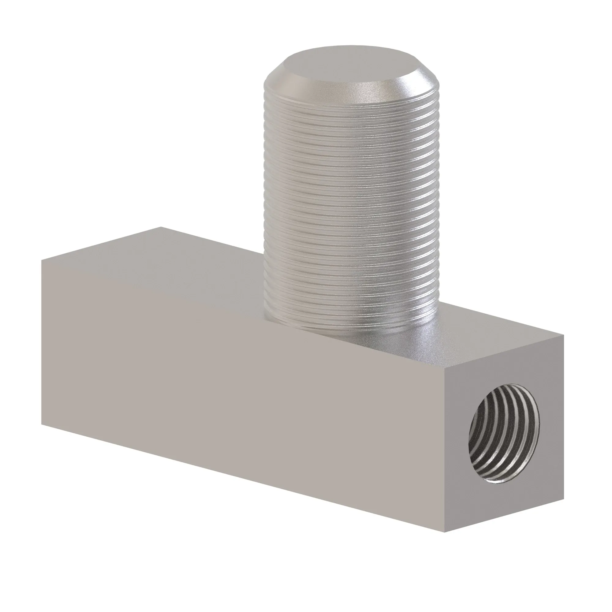 Check Valve