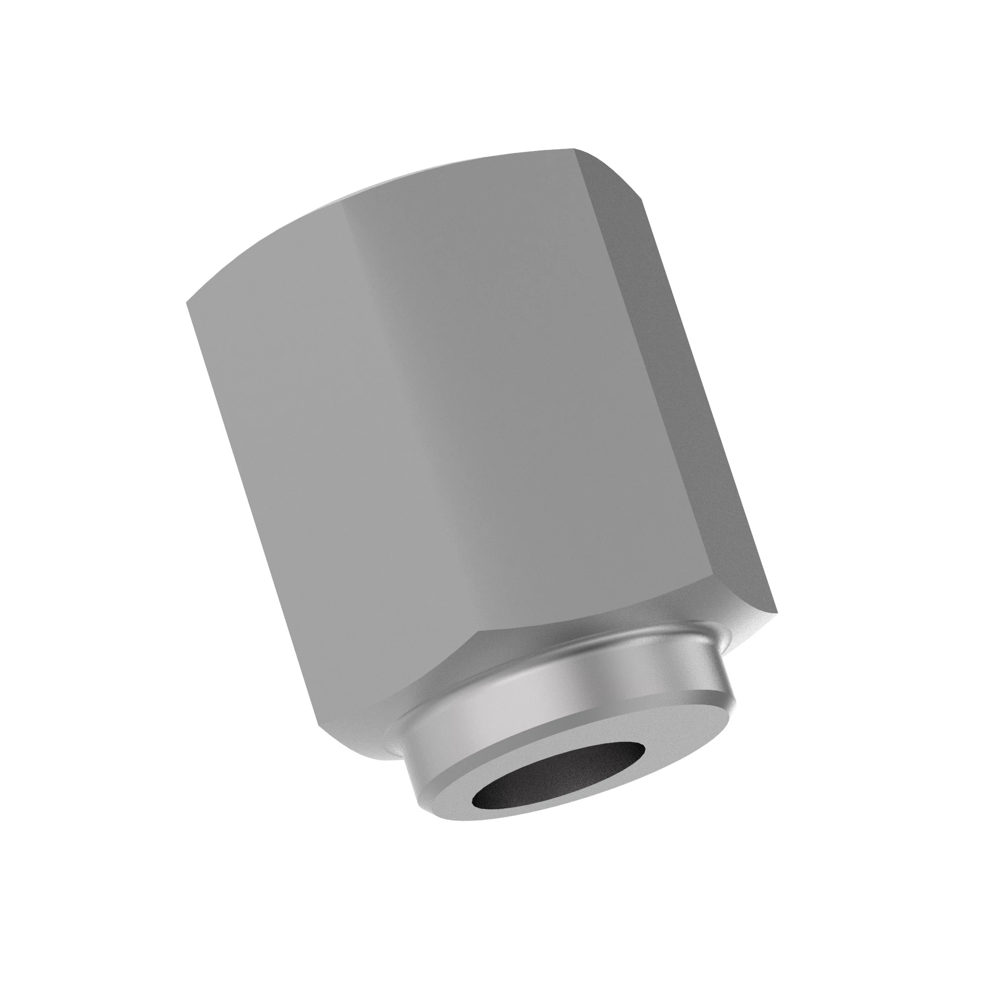 ECCENTRIC (ROLLER ADJUSTER)