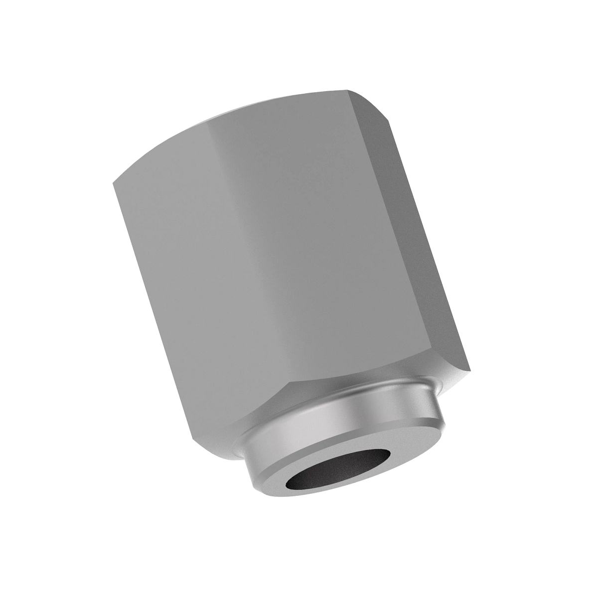 ECCENTRIC (ROLLER ADJUSTER)
