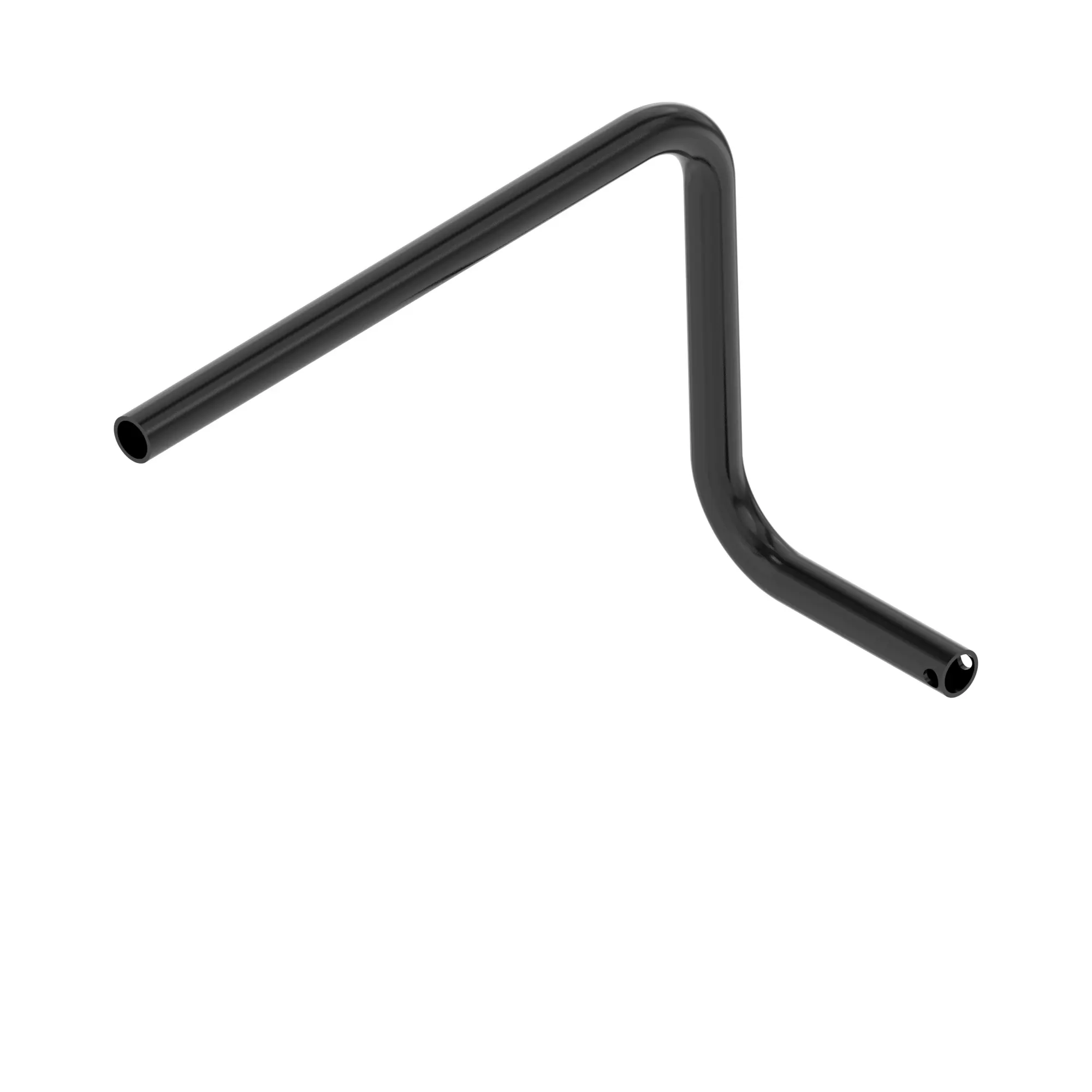 Rib