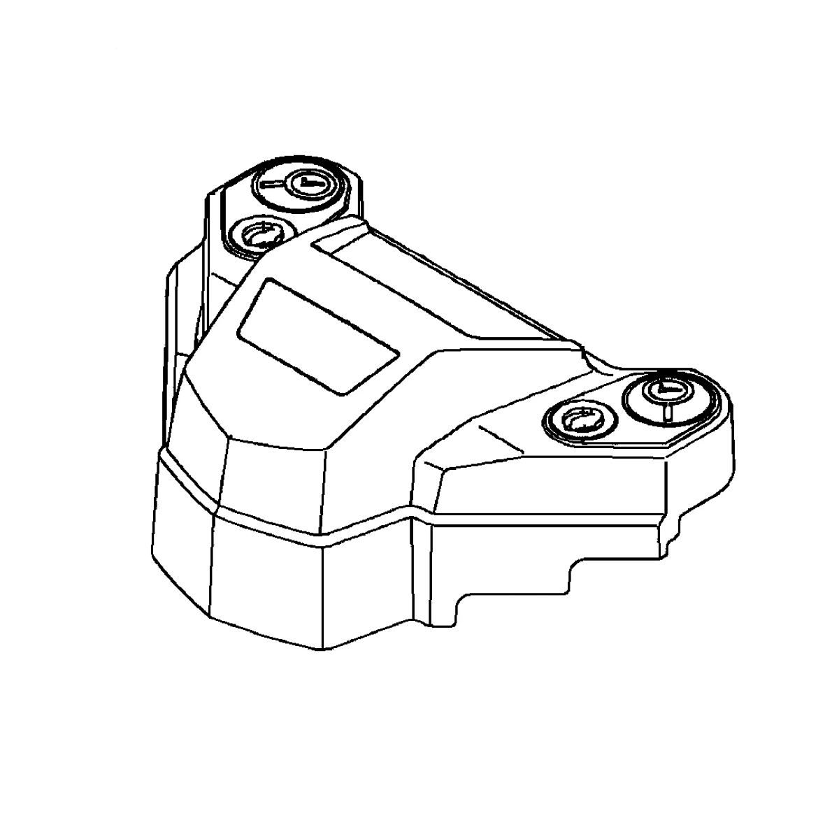 Case