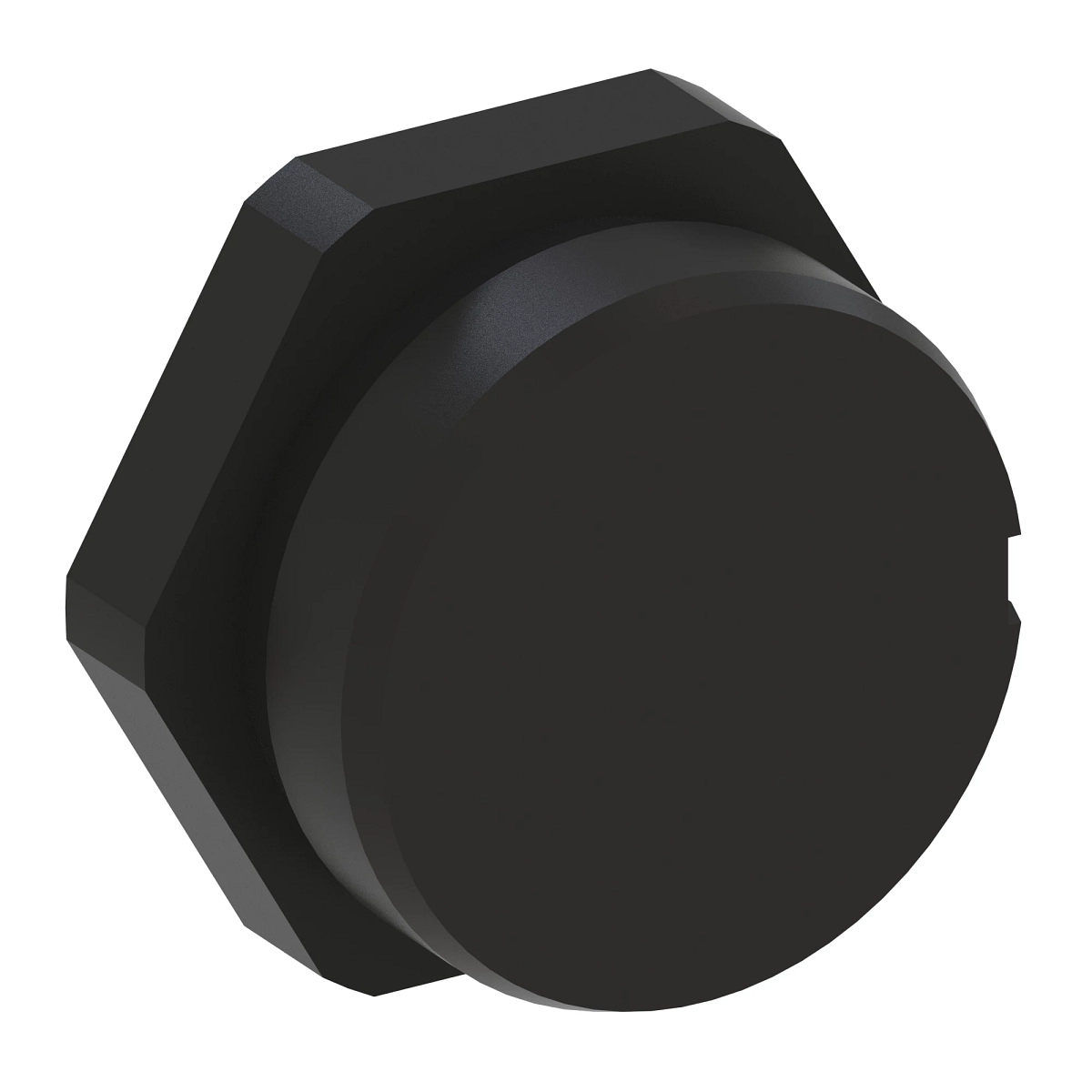 Dust Cap for Accumulator