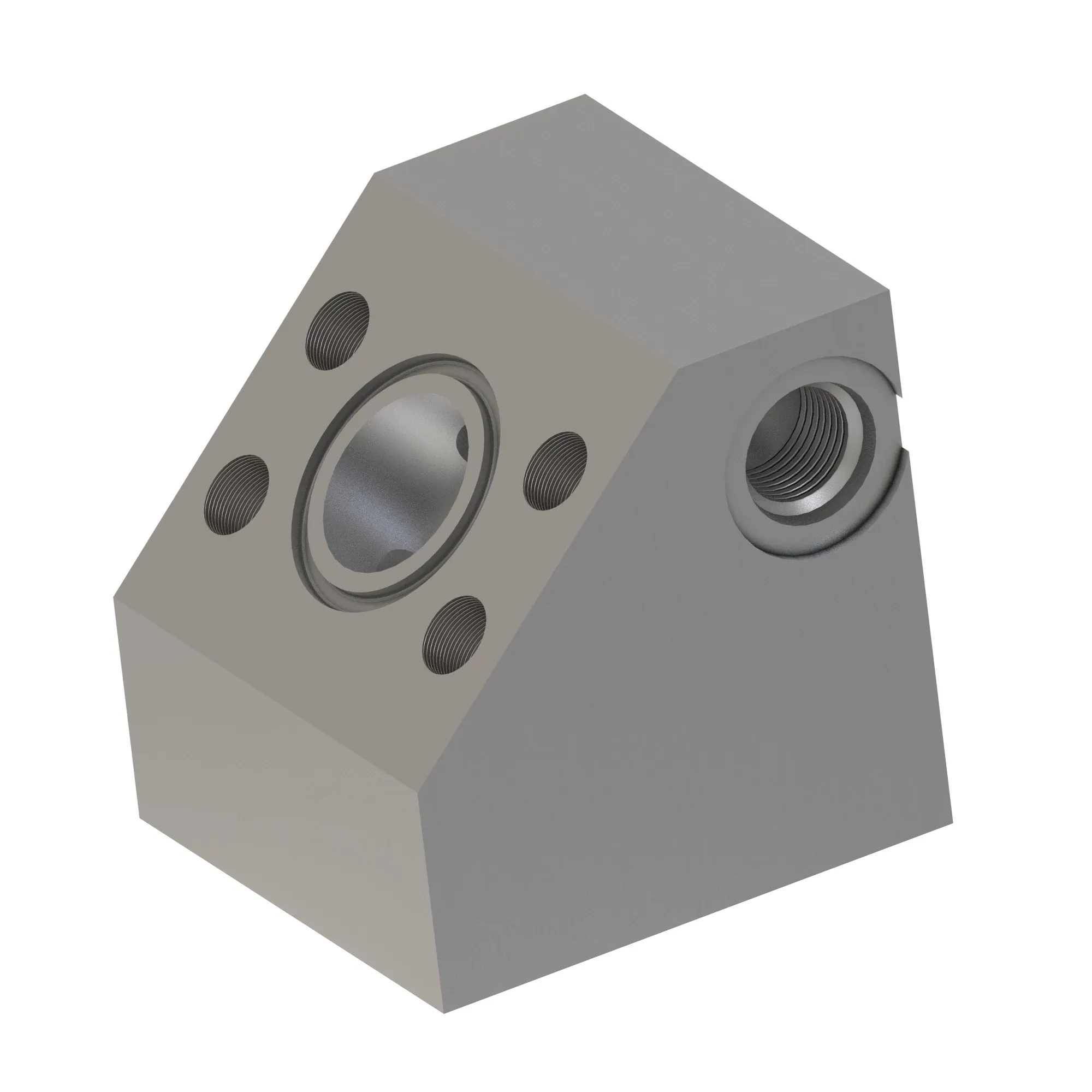 Manifold