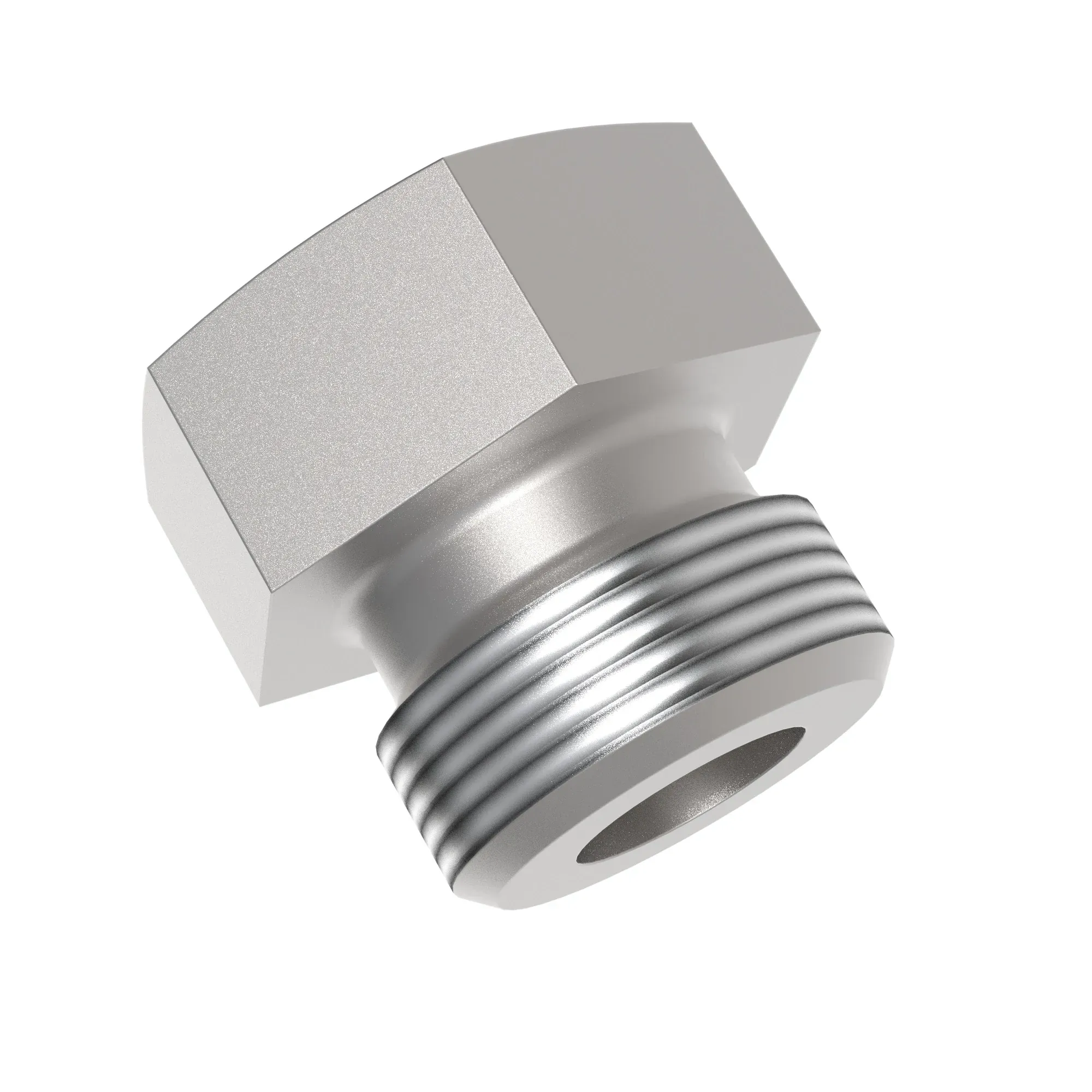 Fitting Plug