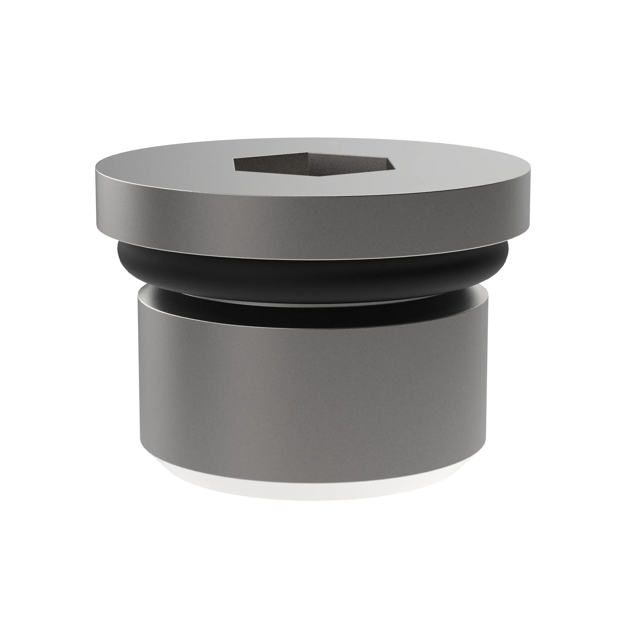 Fitting Plug