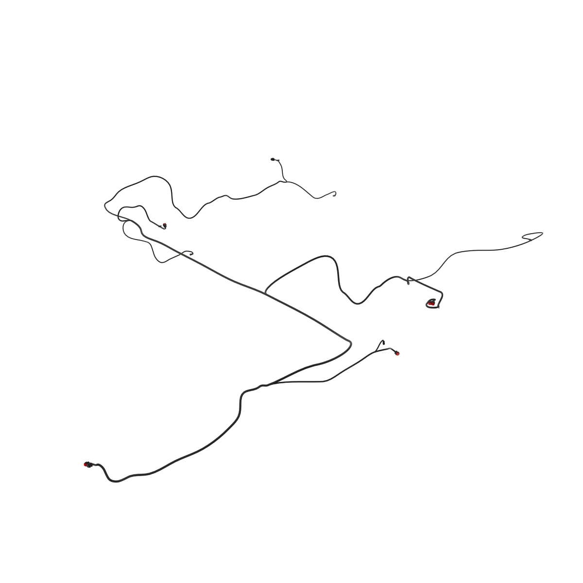 Wiring Harness, Blackjack 2660 Vt 4