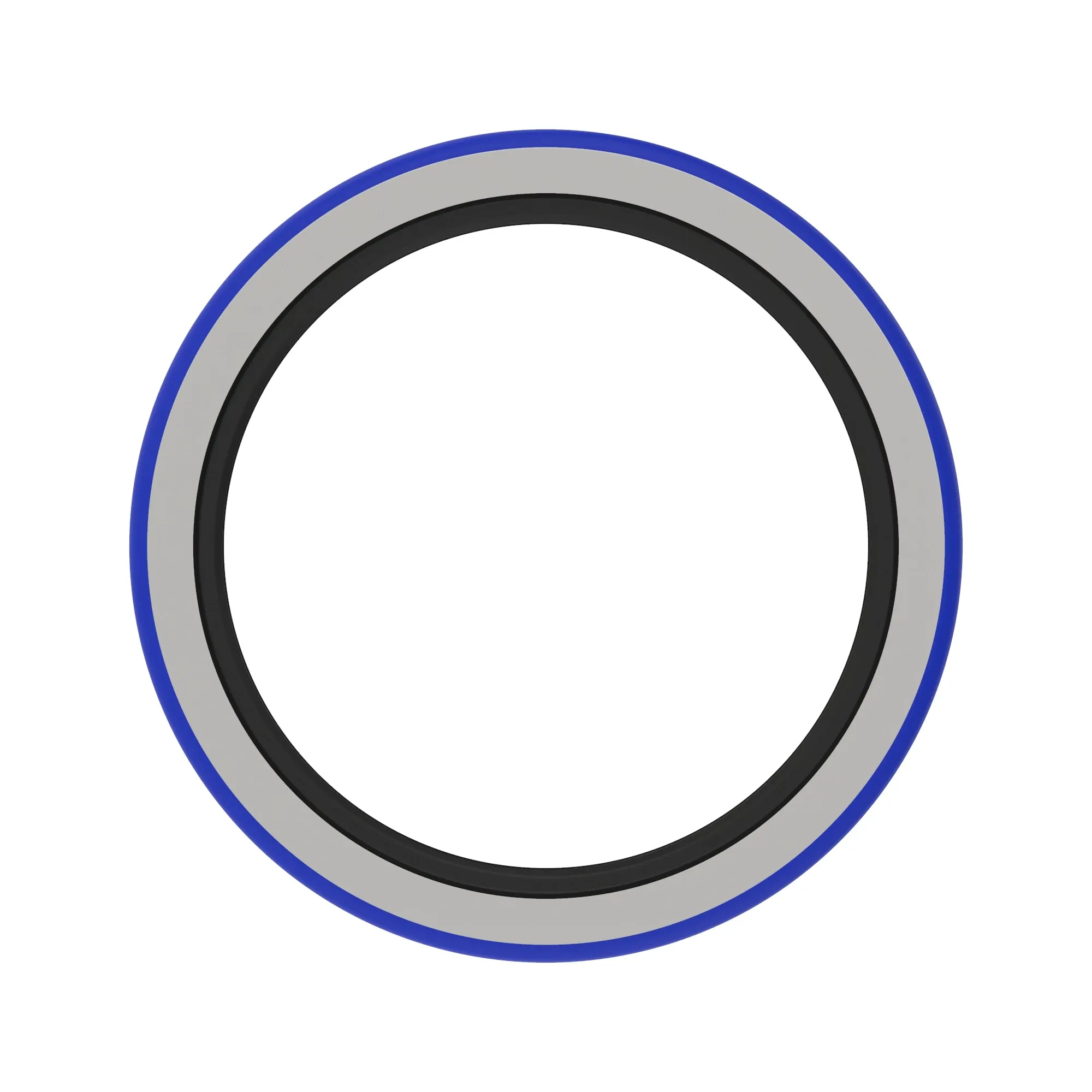 SEAL, OIL DUAL LIP
