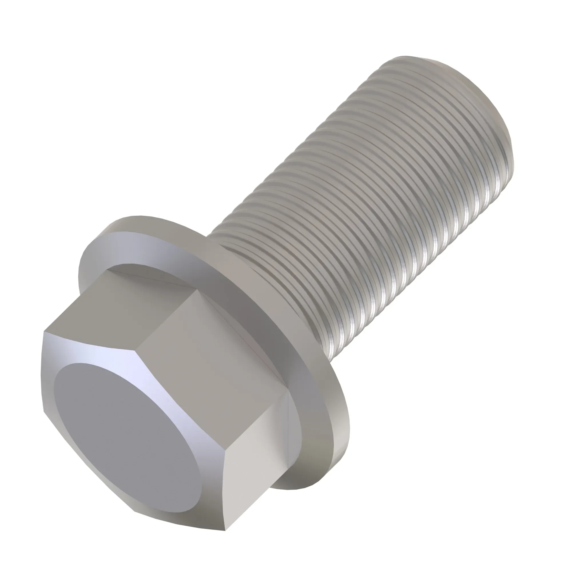 Screw With Washer
