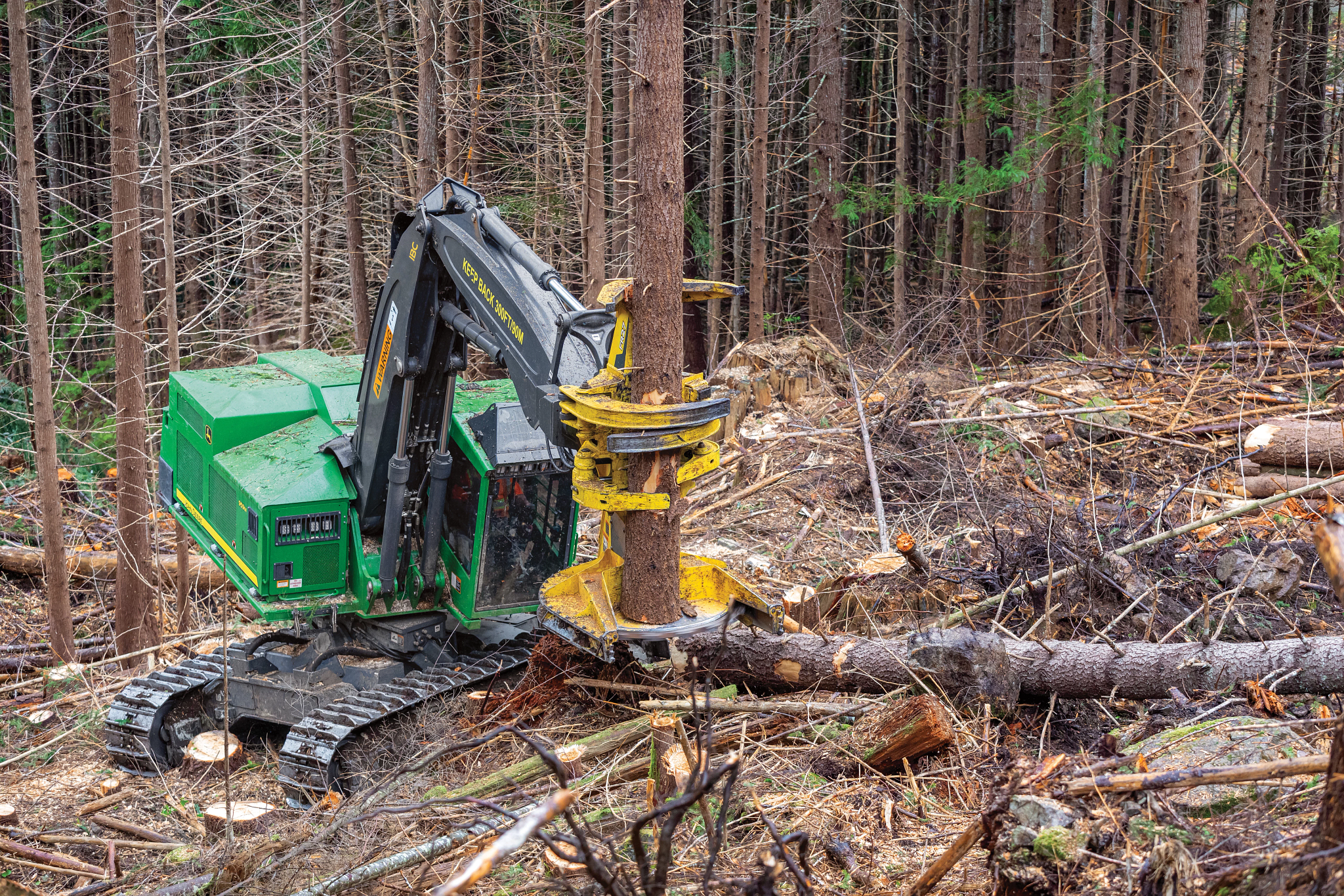 John Deere tracked forestry machine grips and cuts a tree with a harvesting head in a logged forest area, surrounded by felled timber, branches, and dense stands of tall trees on uneven terrain.