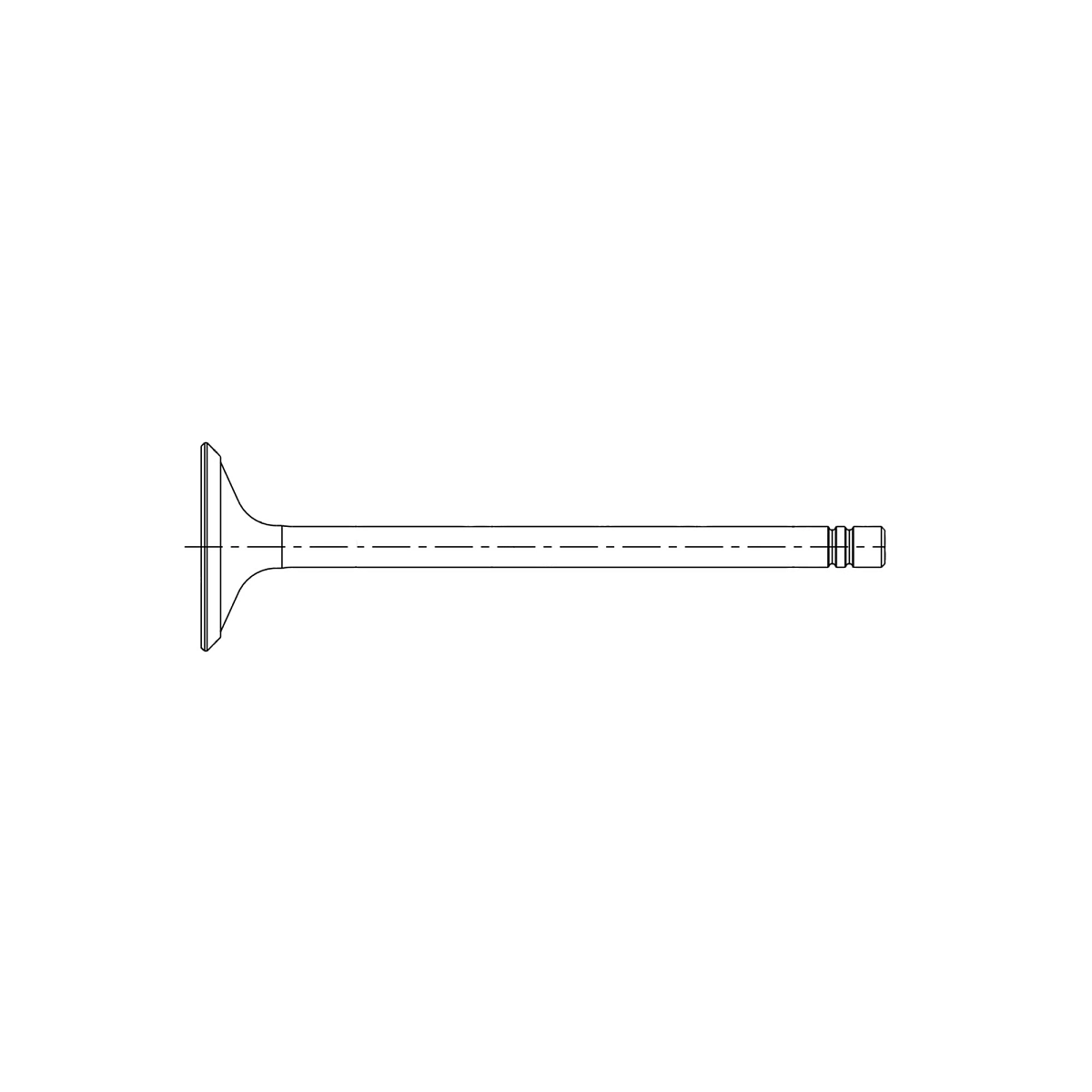 Intake Valve