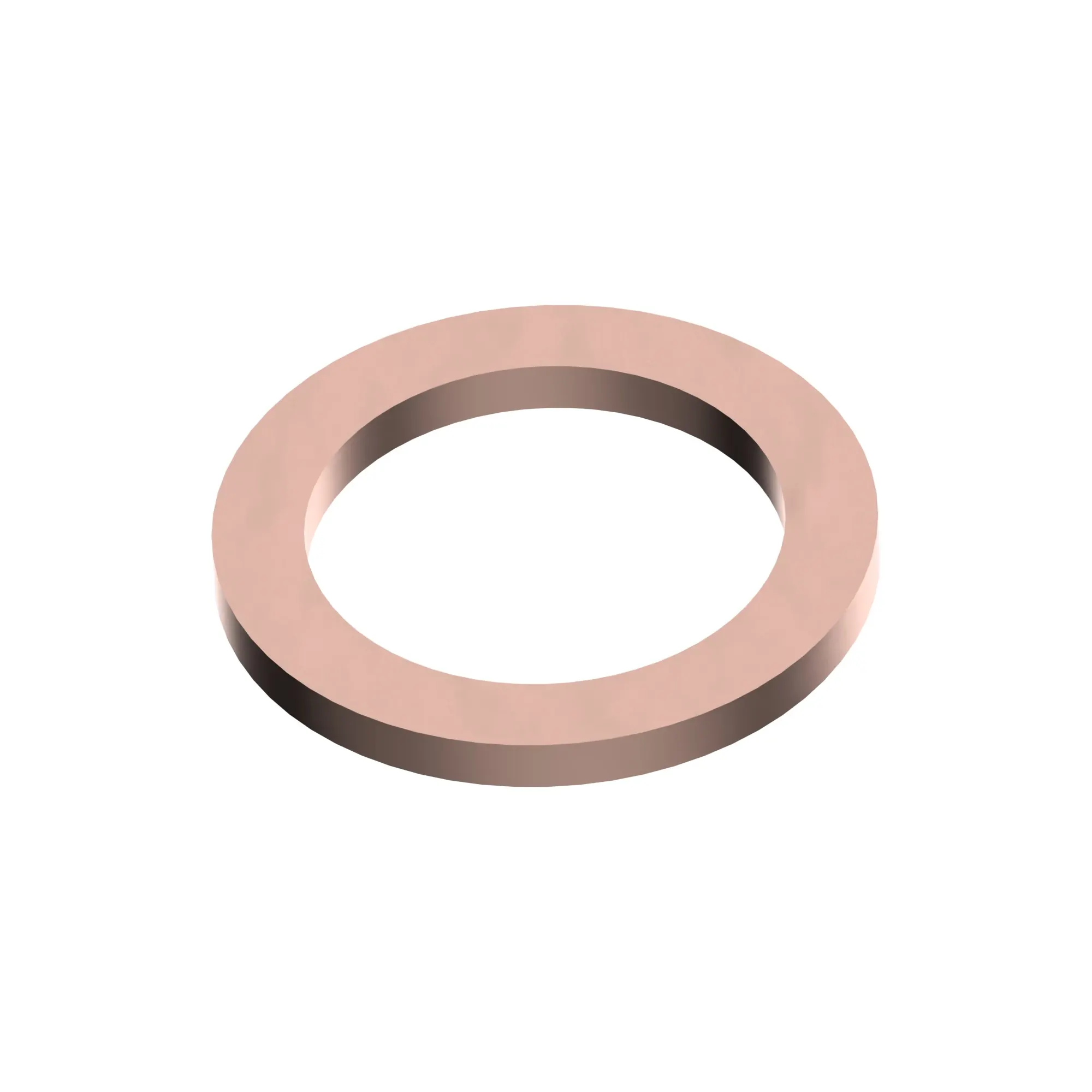 Sealing Ring