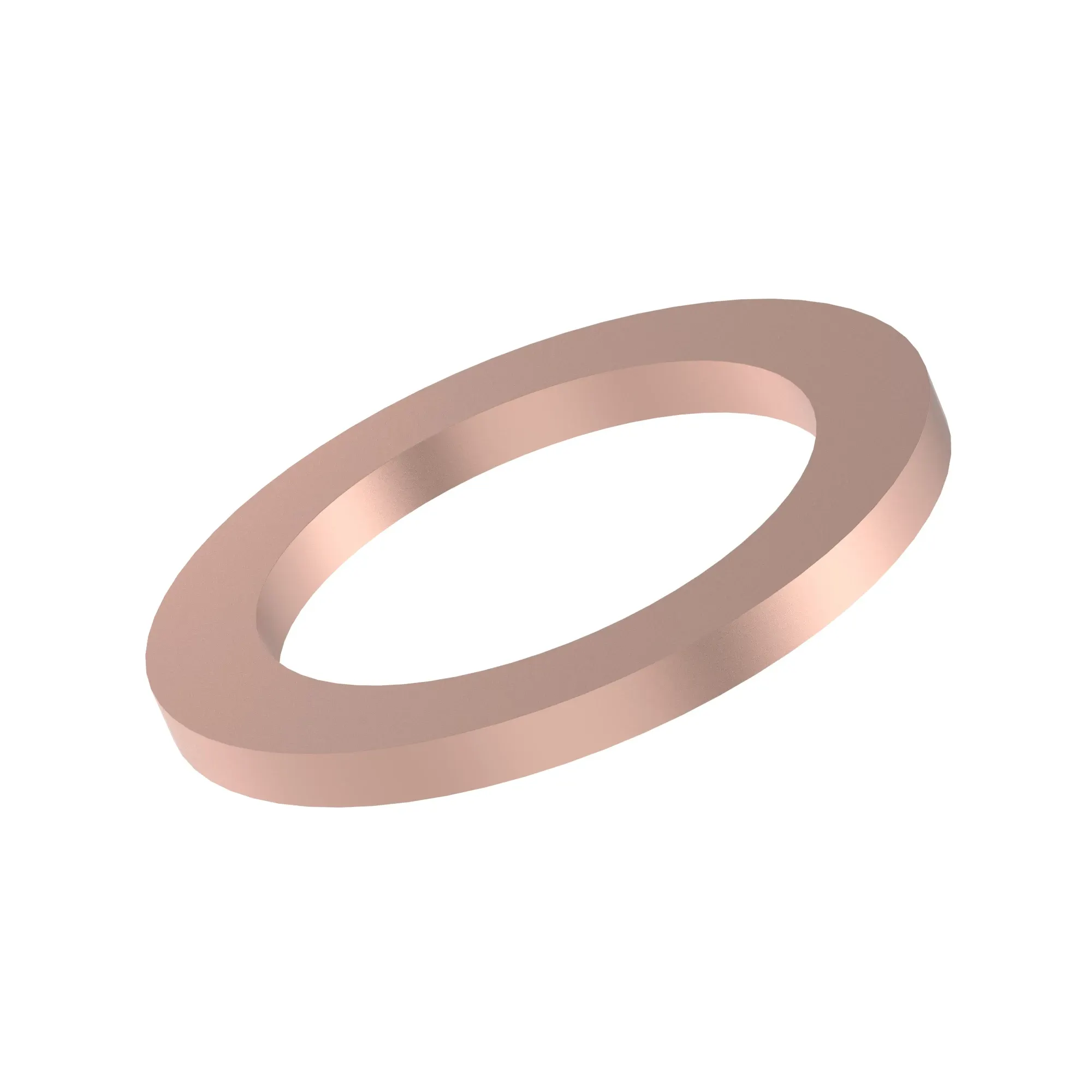 Sealing Ring