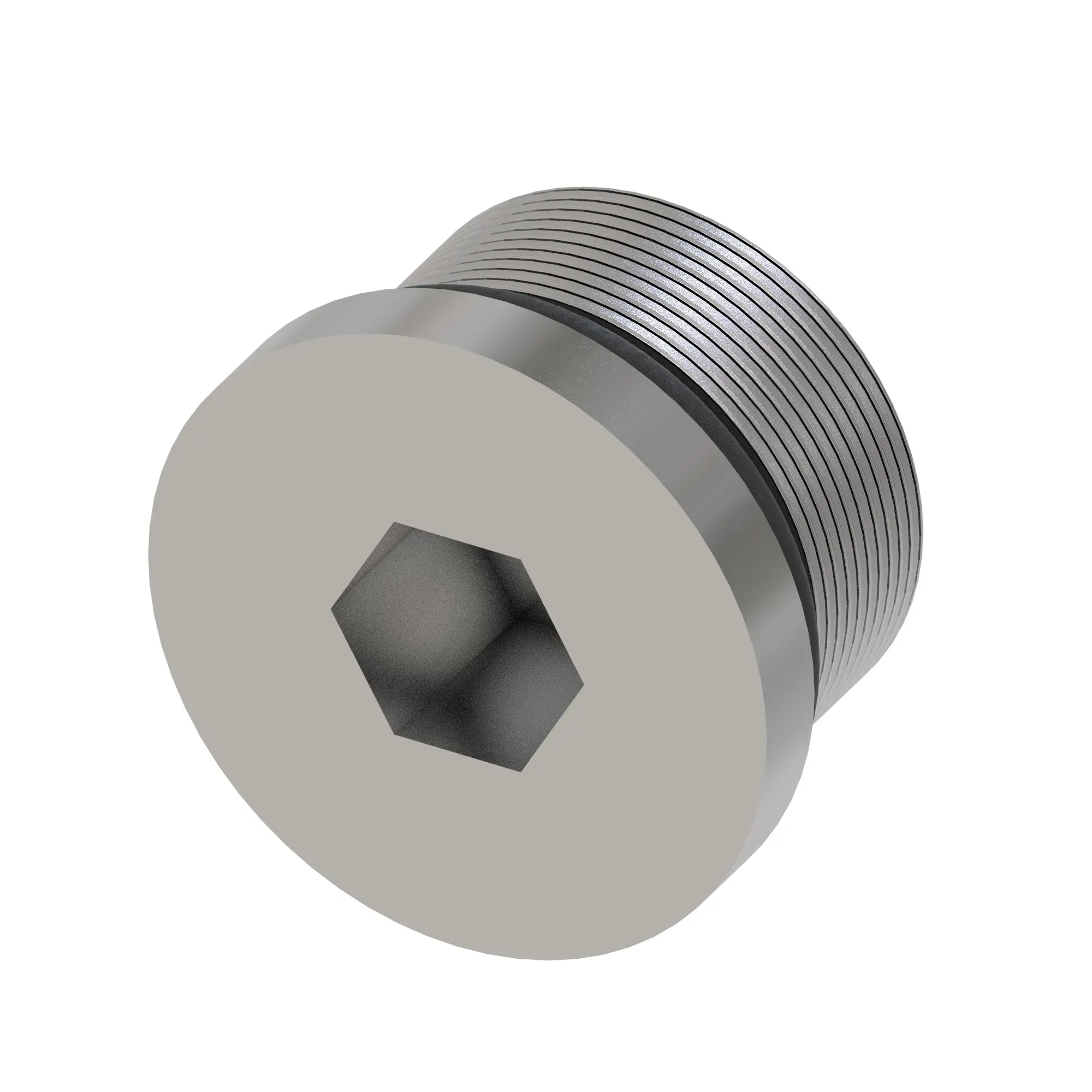 Fitting Plug