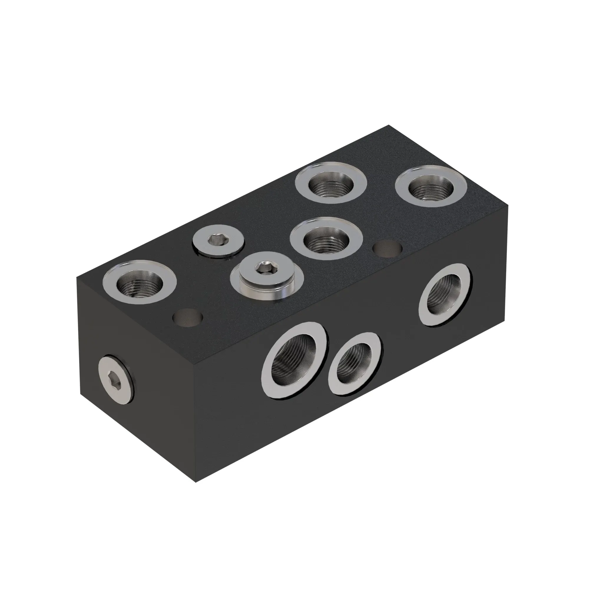 Manifold