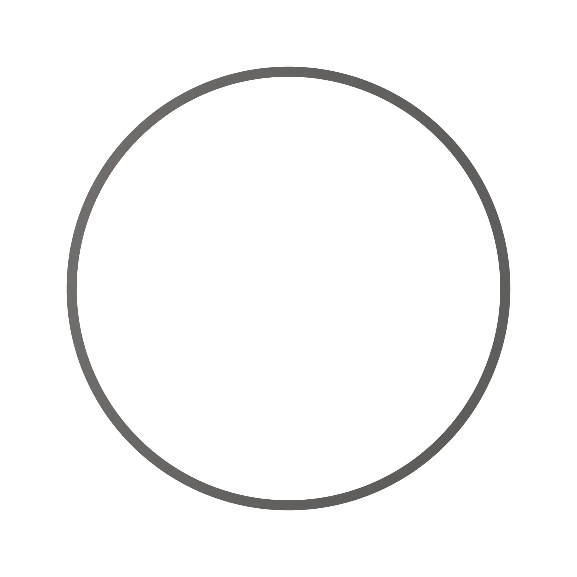 Thrust Washer